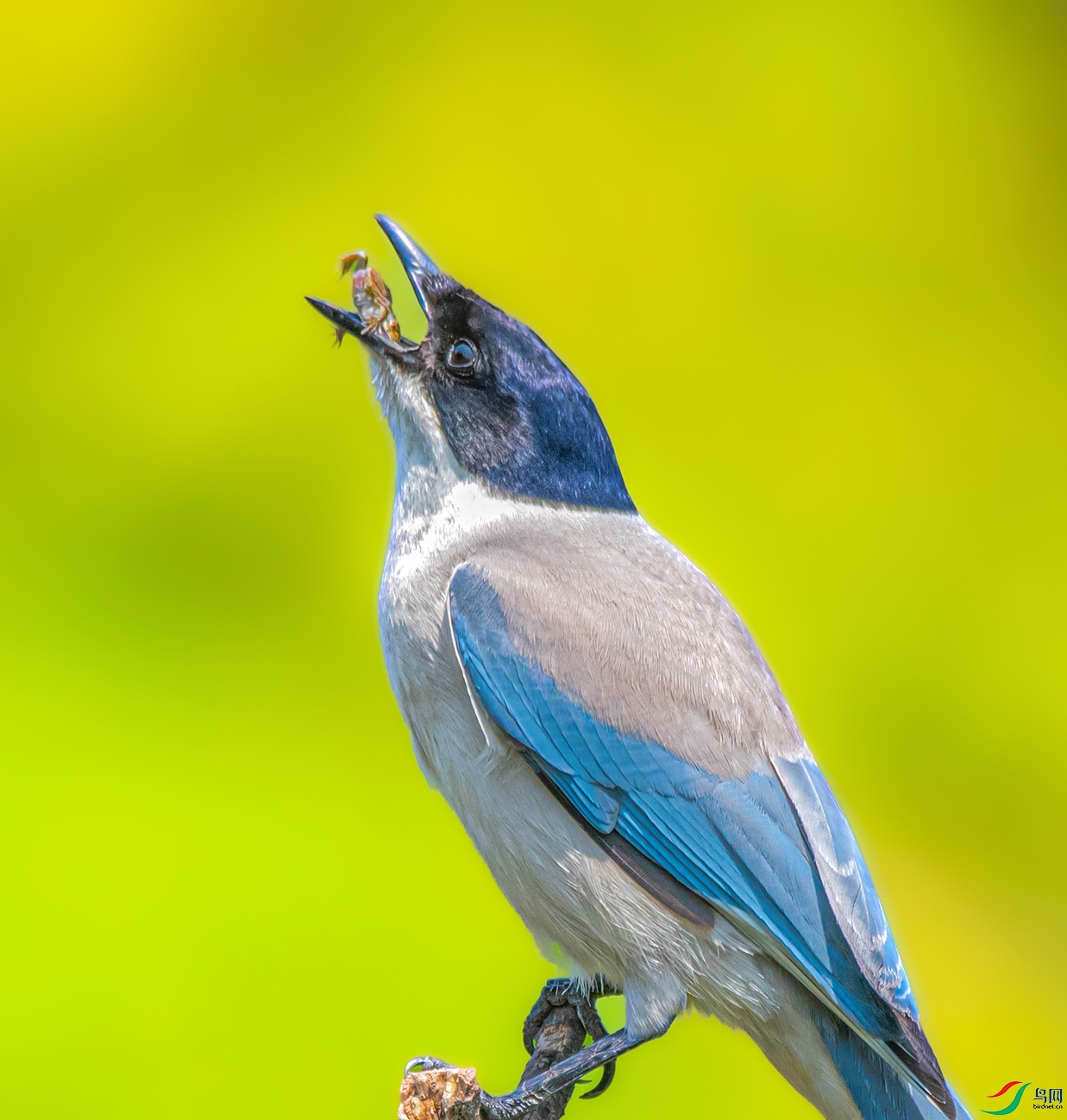 DSC_1387_��ͼ�� ����.jpg