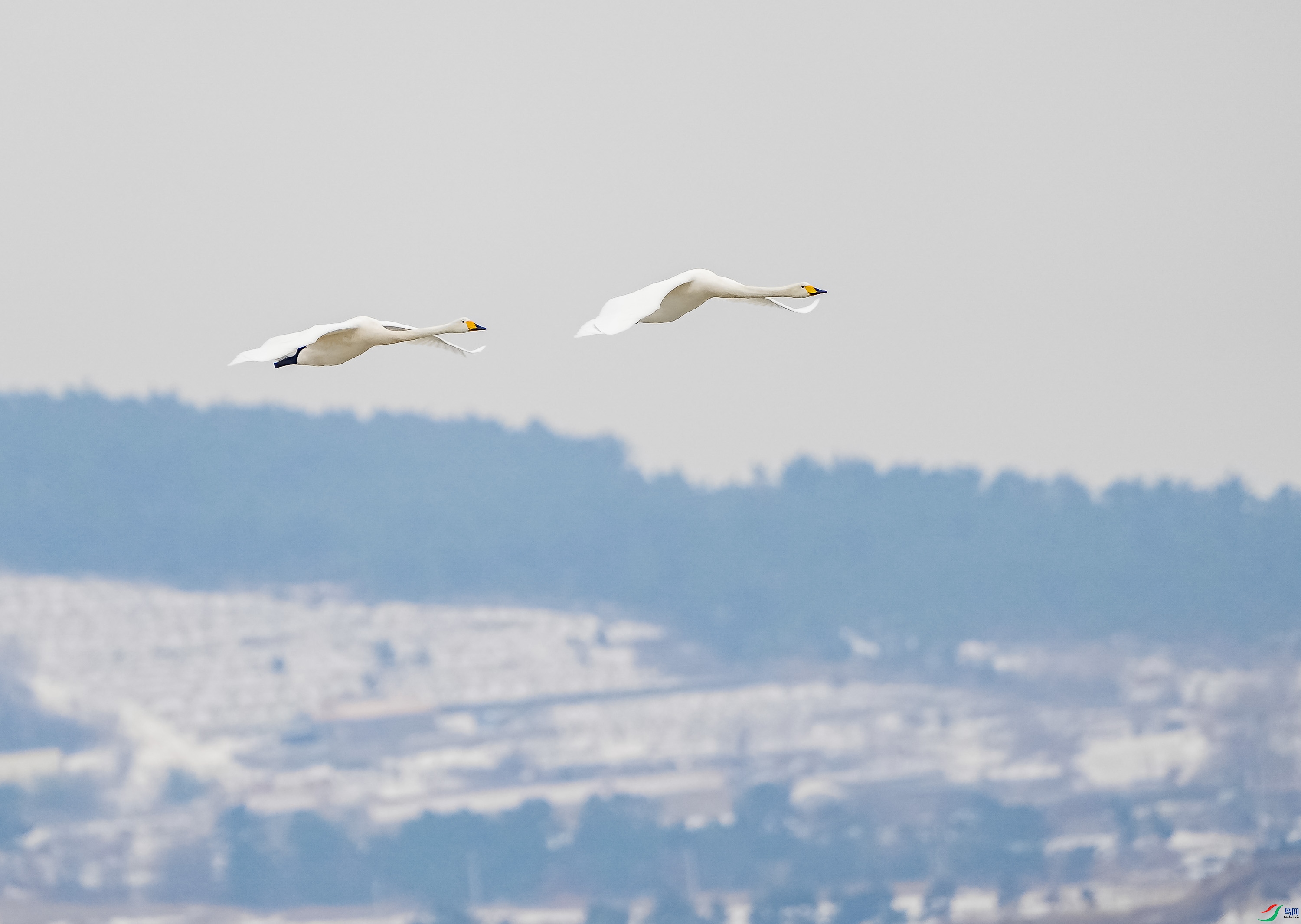 �����-4 (2).jpg