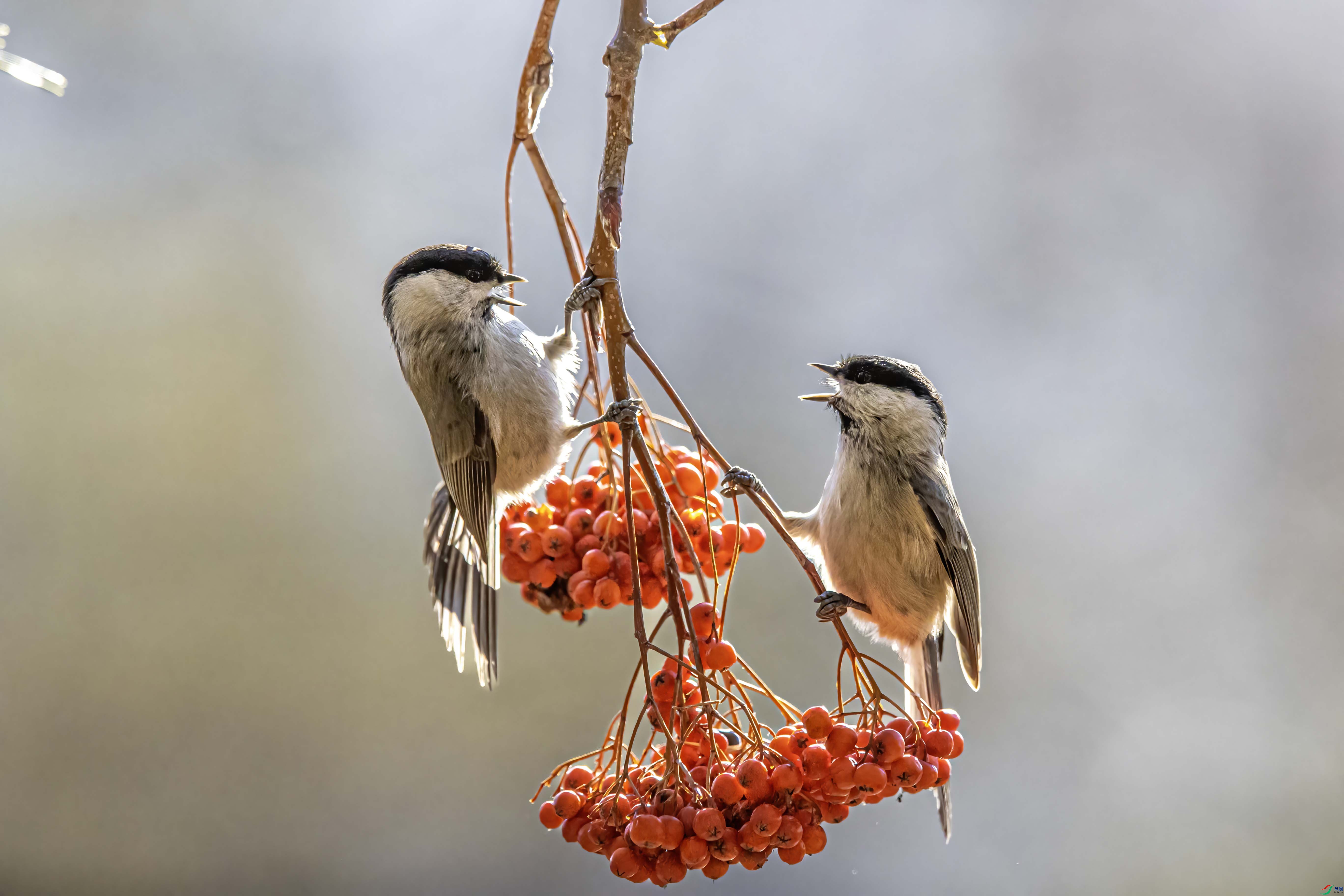 A64I1287 ����55 ����1.jpg