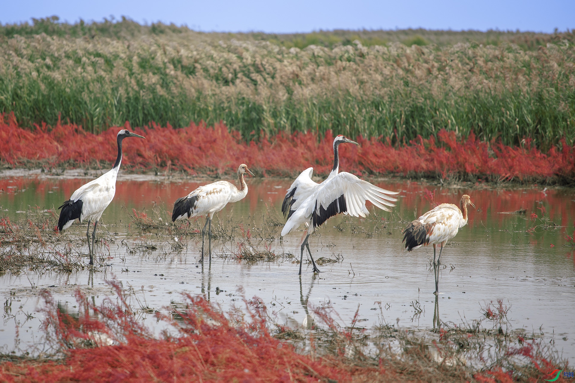 9S3A9053 ����.jpg