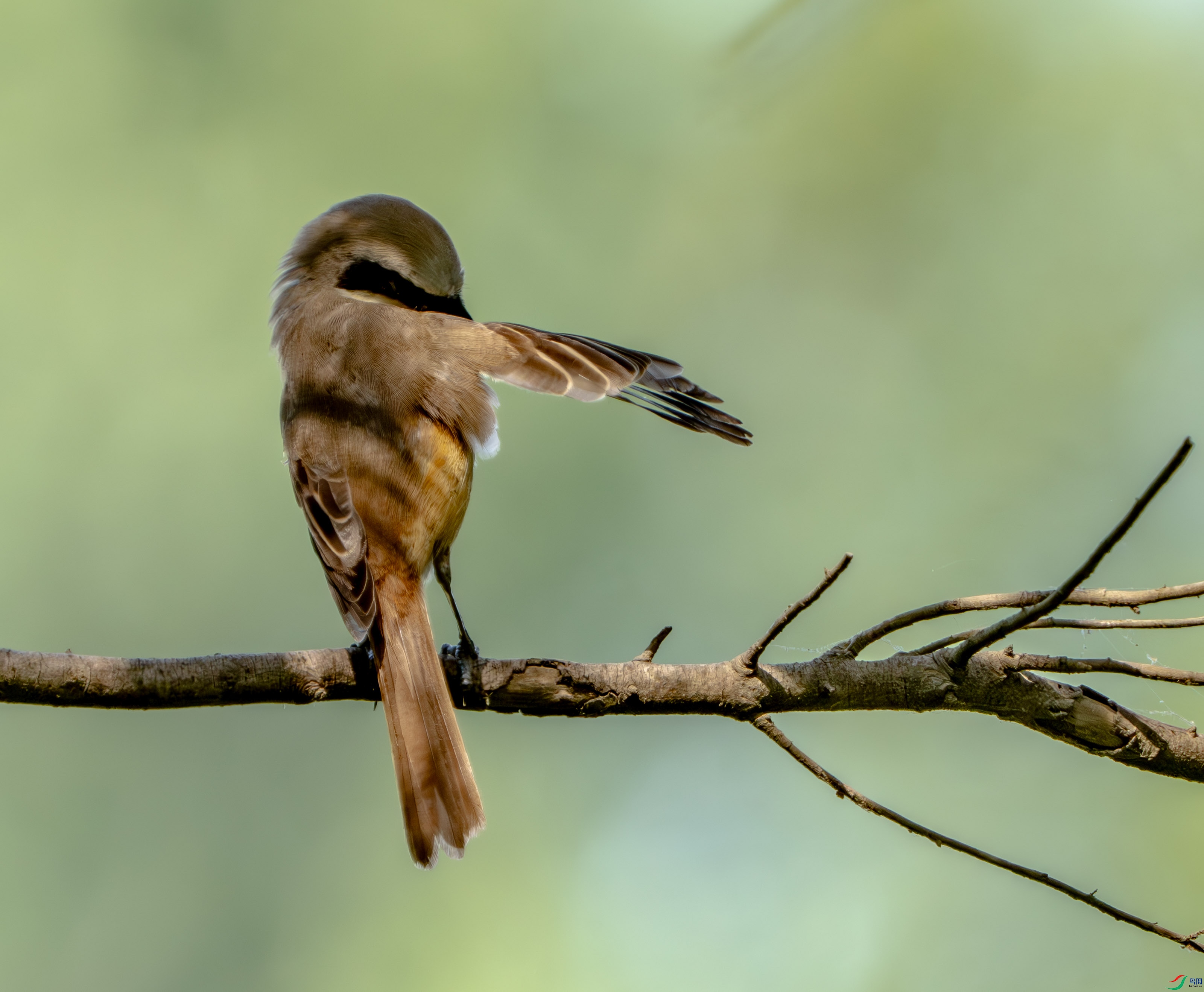 ��β����-3 (2).jpg