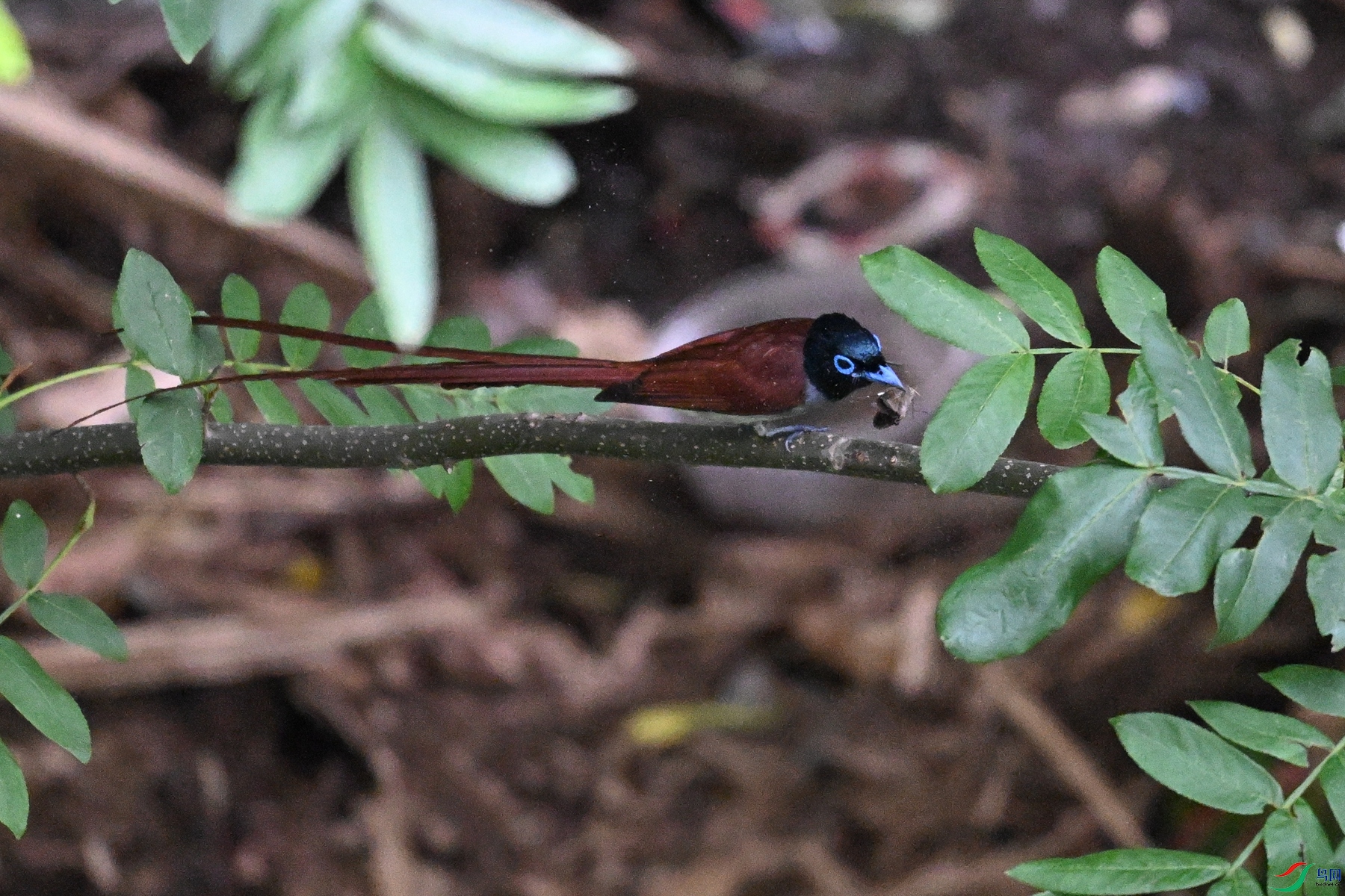 DSC_7820.JPG