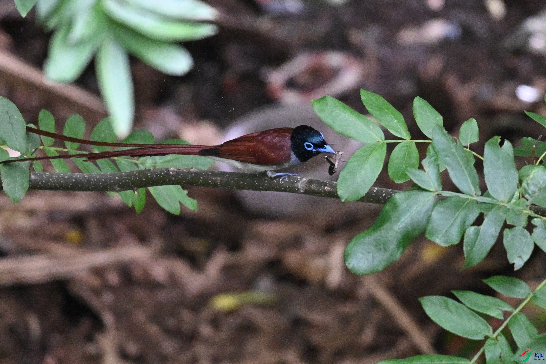 DSC_7835.JPG