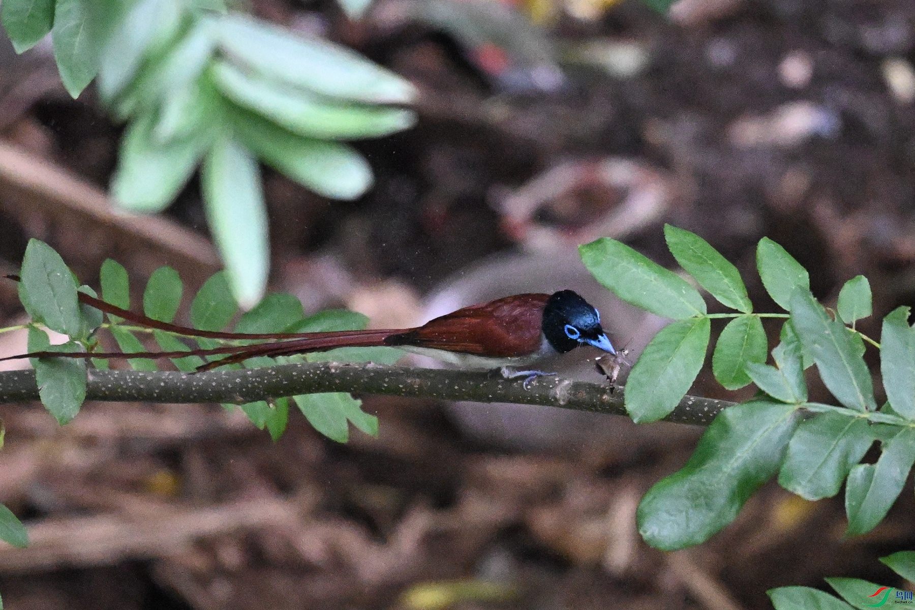 DSC_7839.JPG