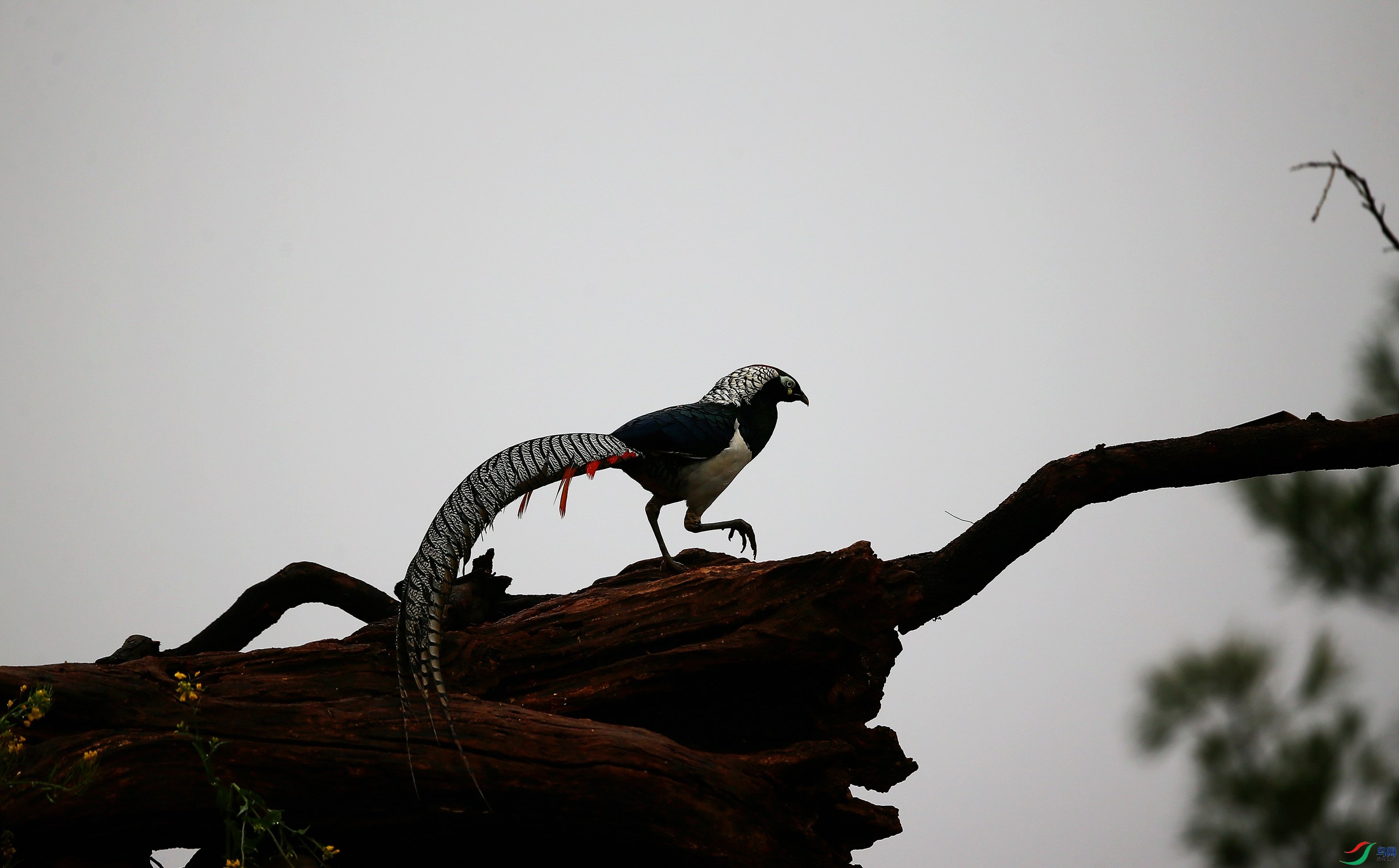 �׸����� (60).JPG