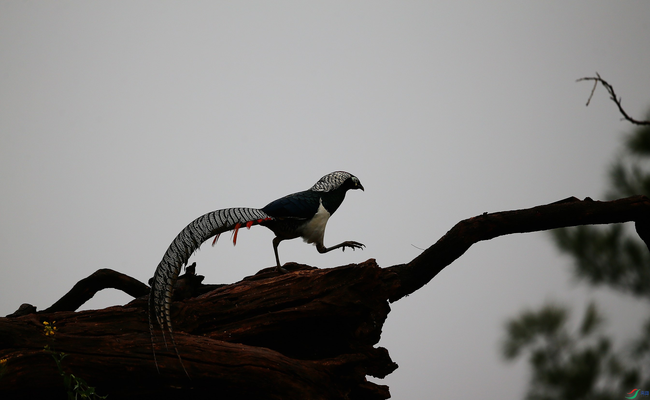 �׸����� (62).JPG