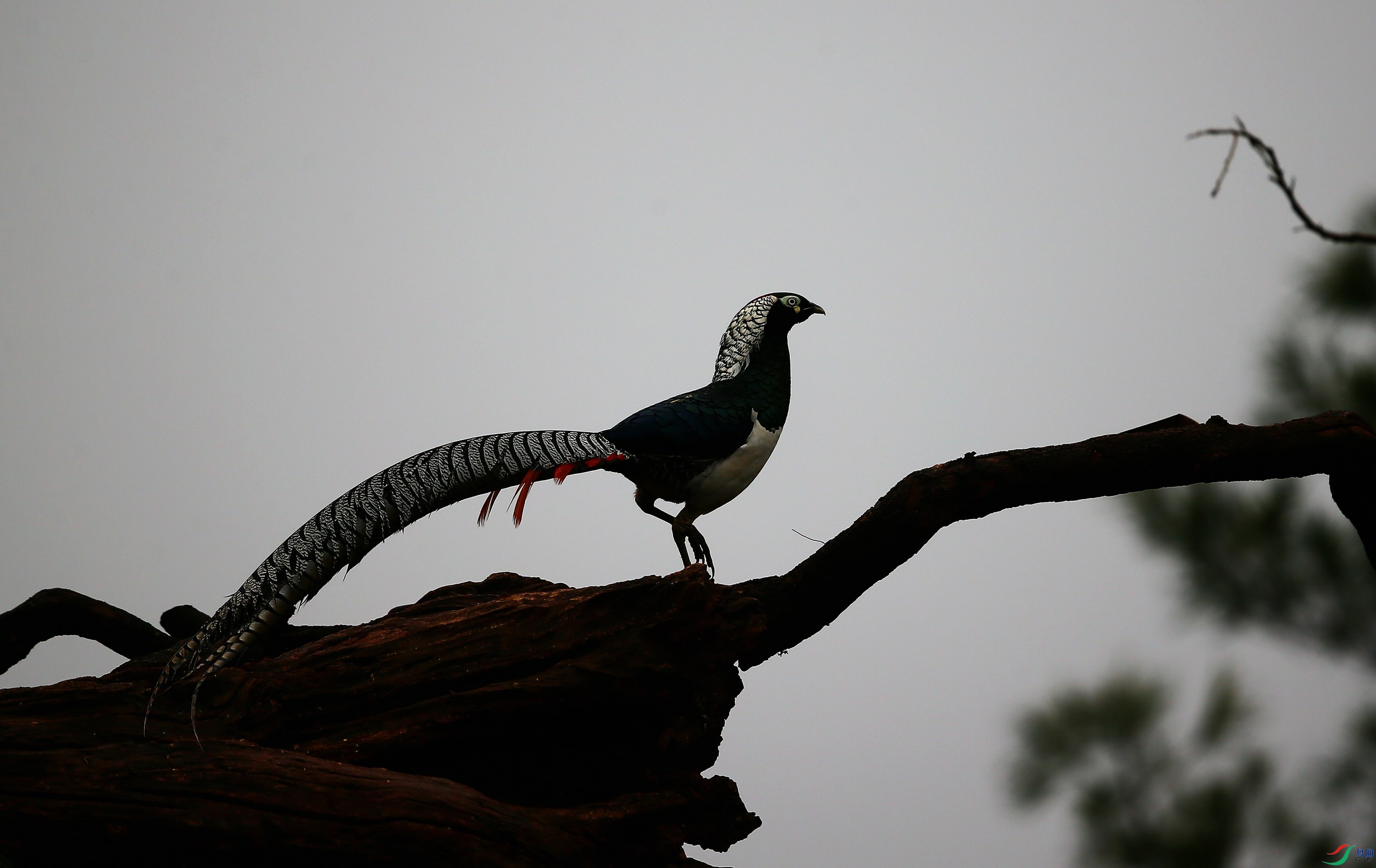 �׸����� (63).JPG