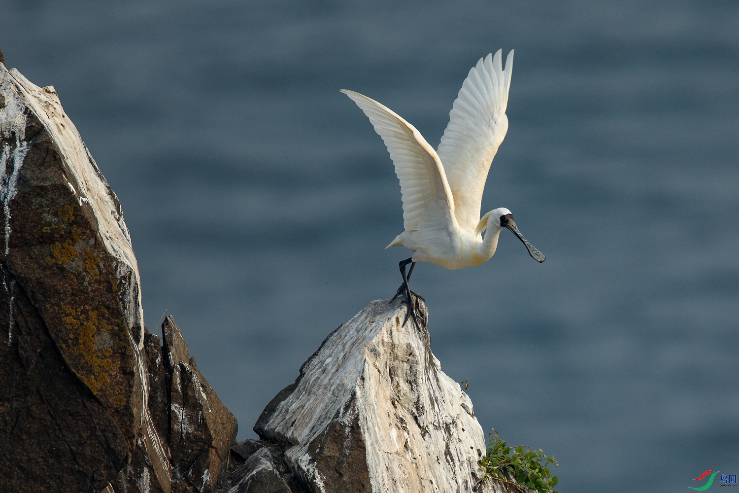 A68O2001 ����.jpg