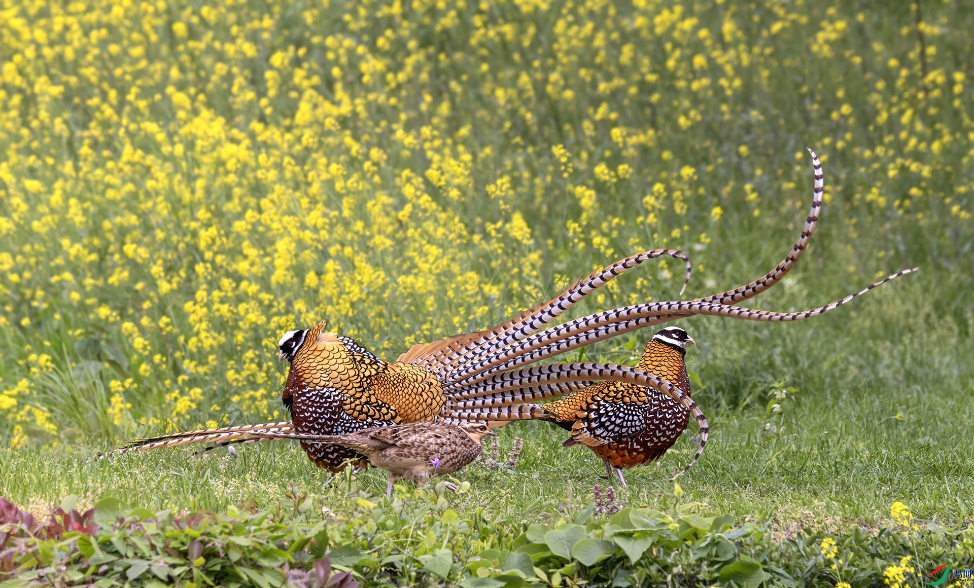 407A7809------22  .jpg