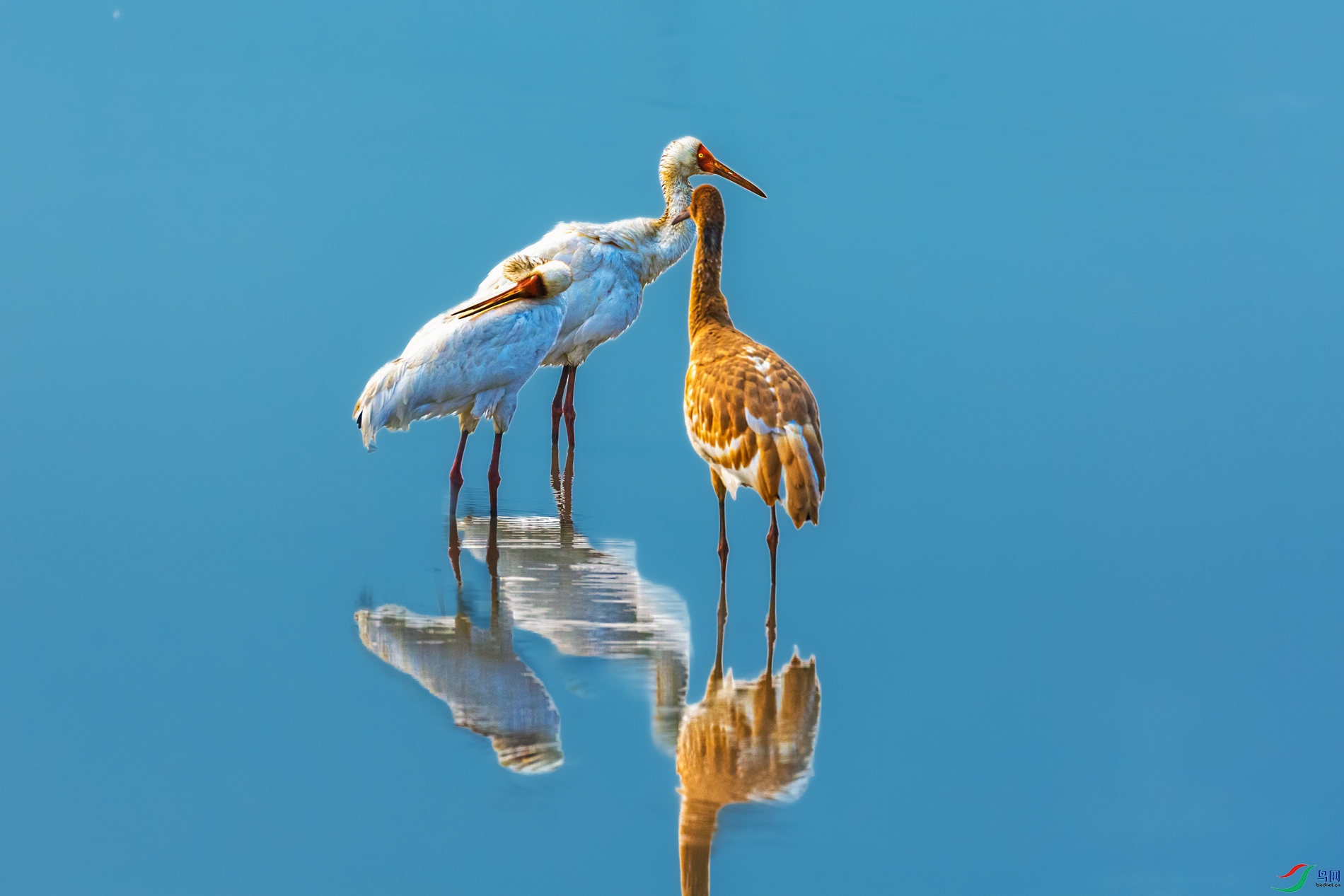 �׺�----������������л�