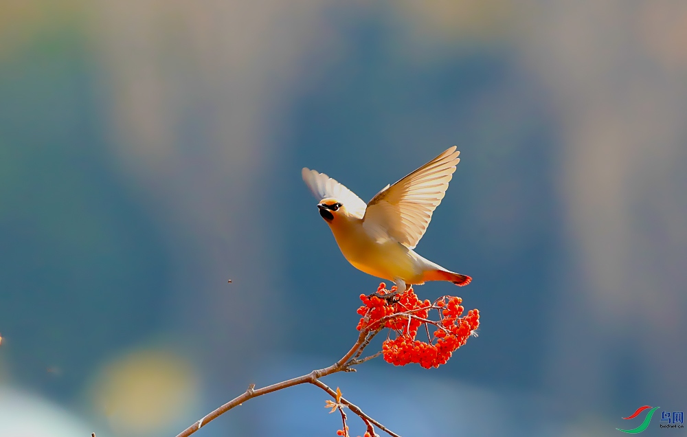 A46I0223 - ����.jpg