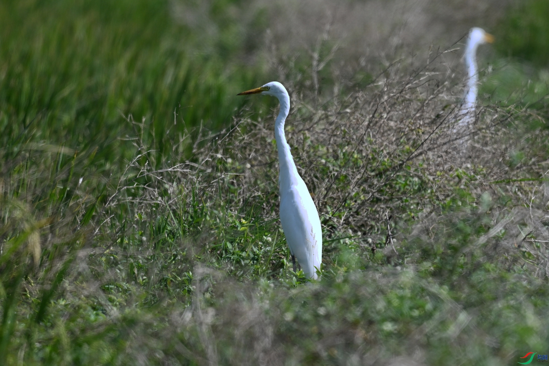 DSC_4998.JPG