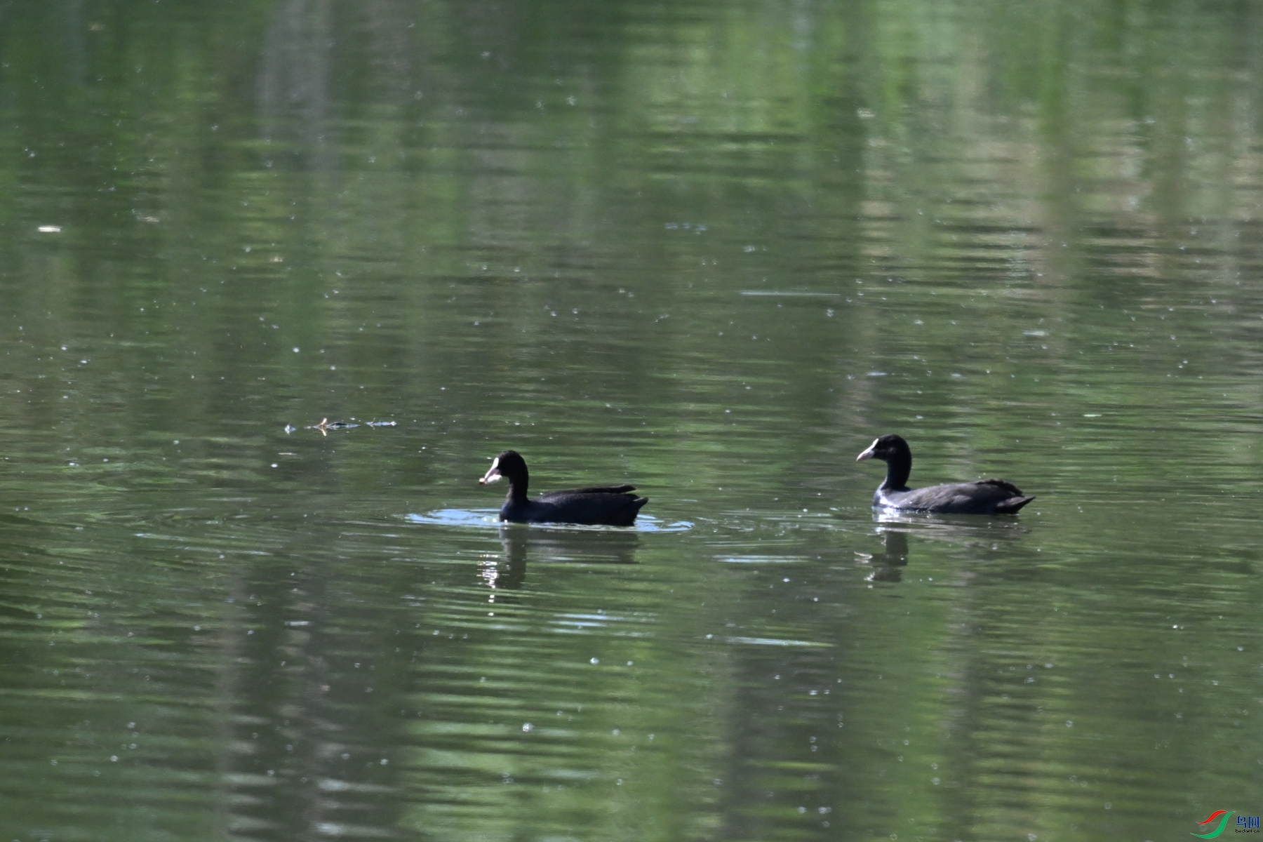 DSC_5001.JPG