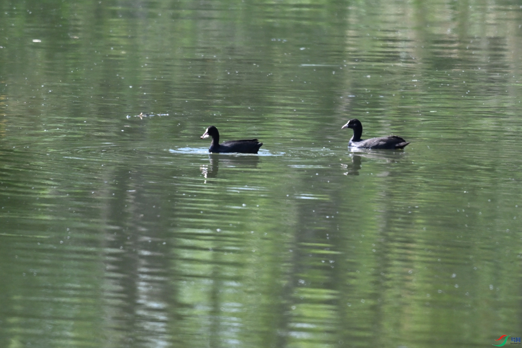 DSC_5002.JPG