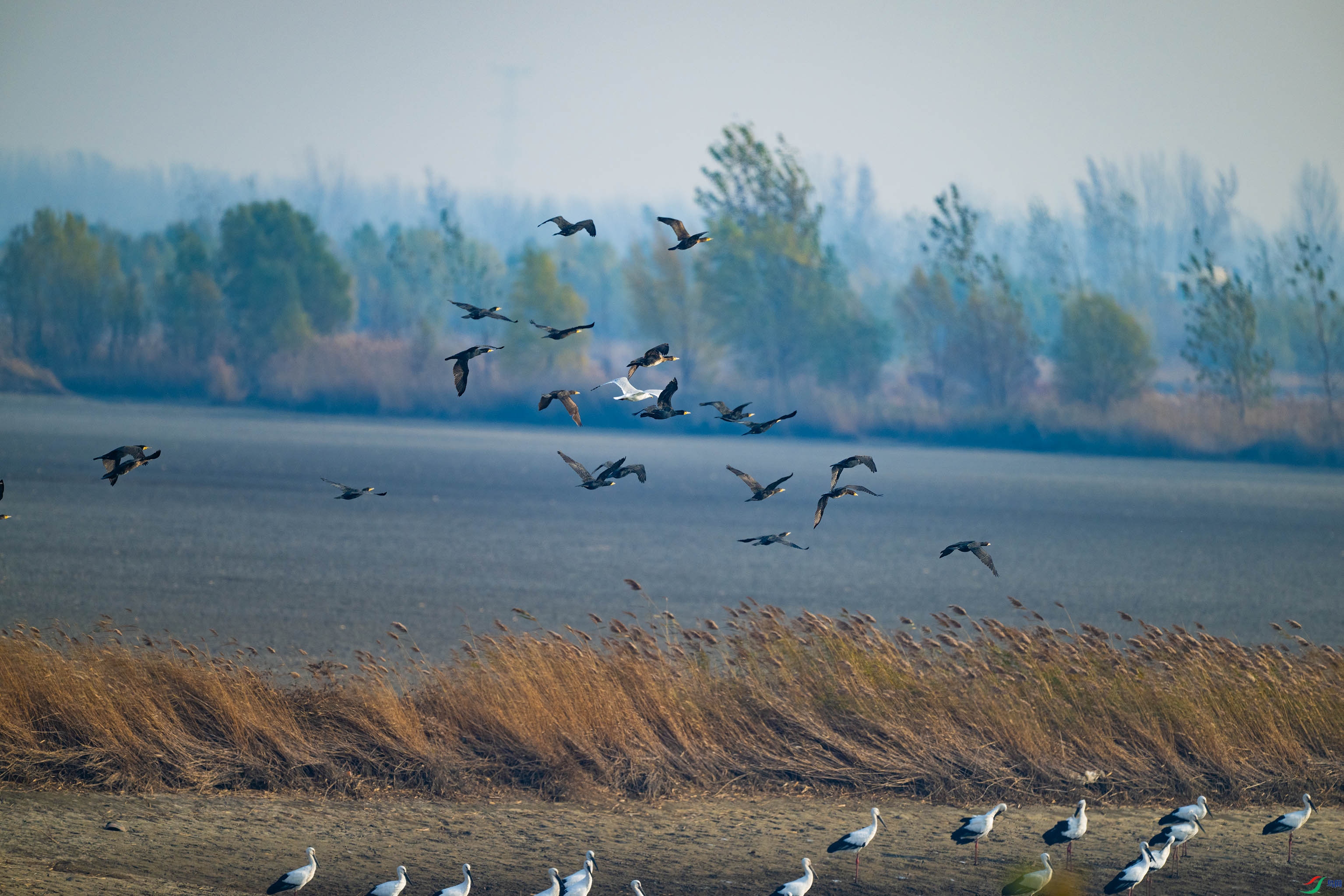 DSC_0883.jpg