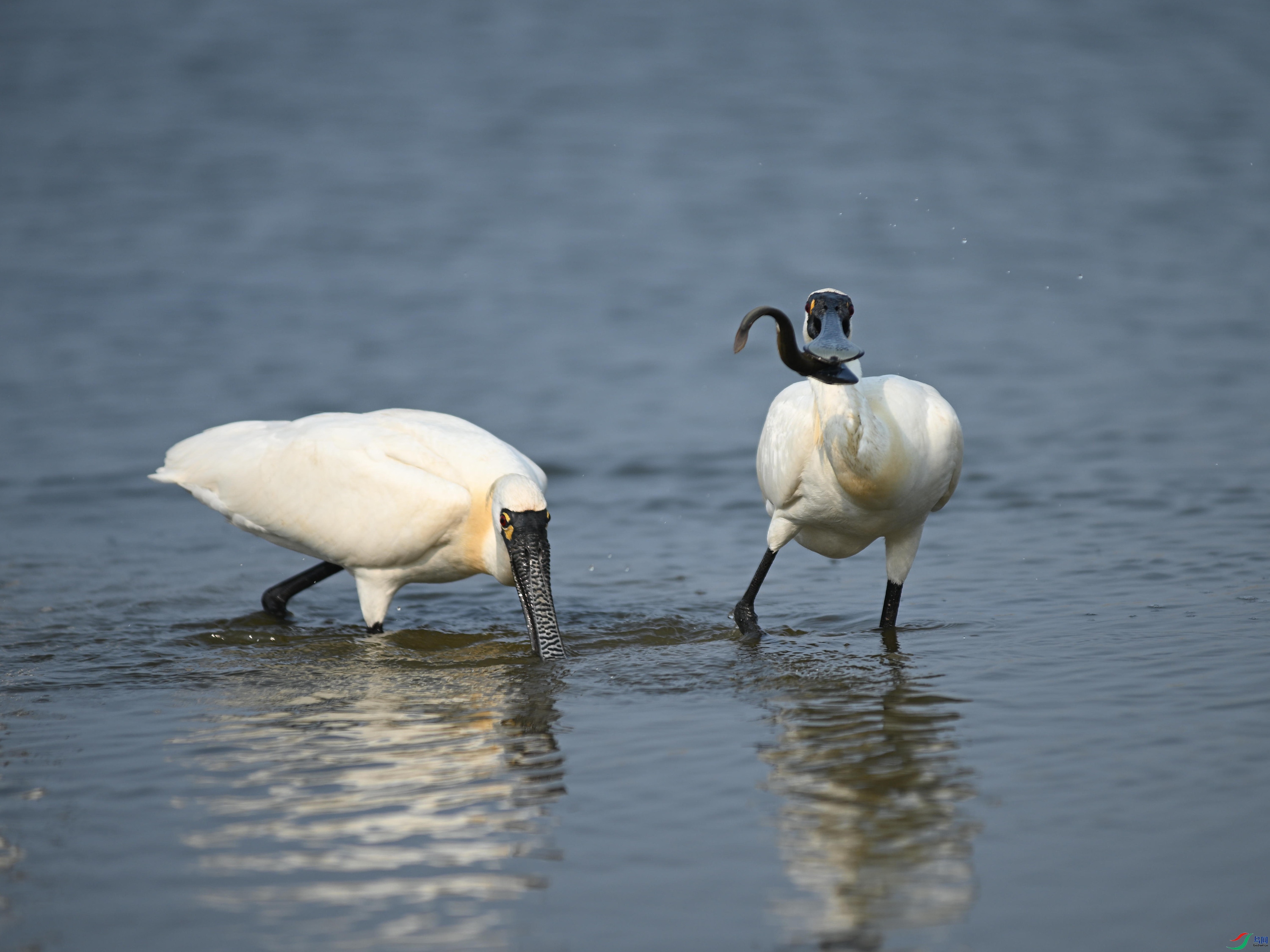 �������� (28).jpg