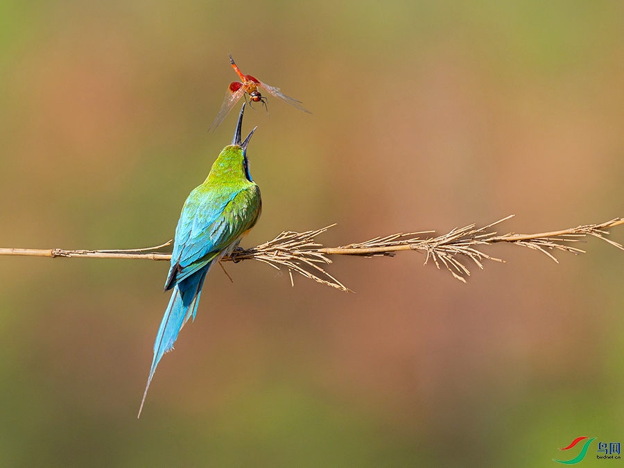 6H7A7046 ����.jpg