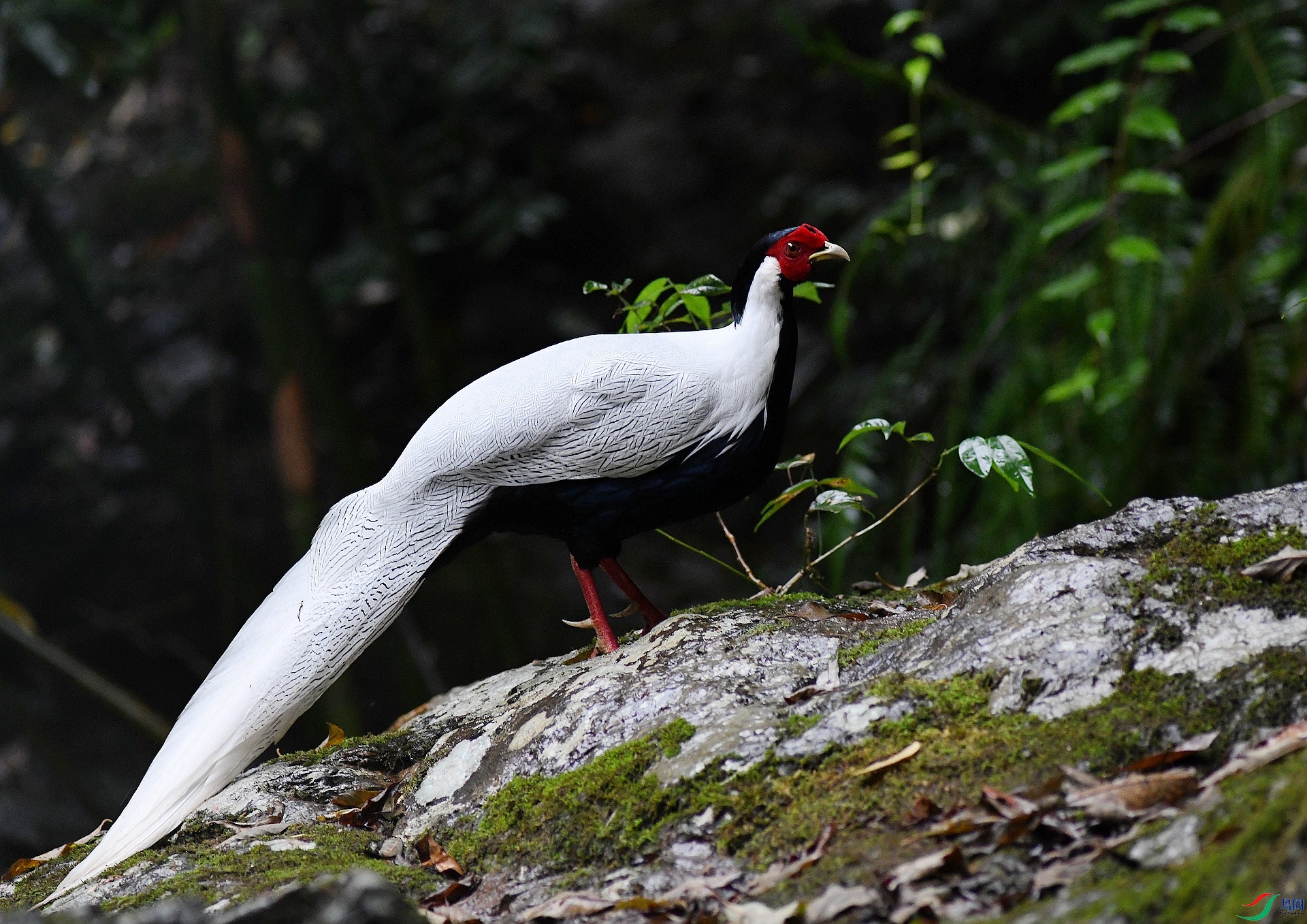 DSC_1380.jpg