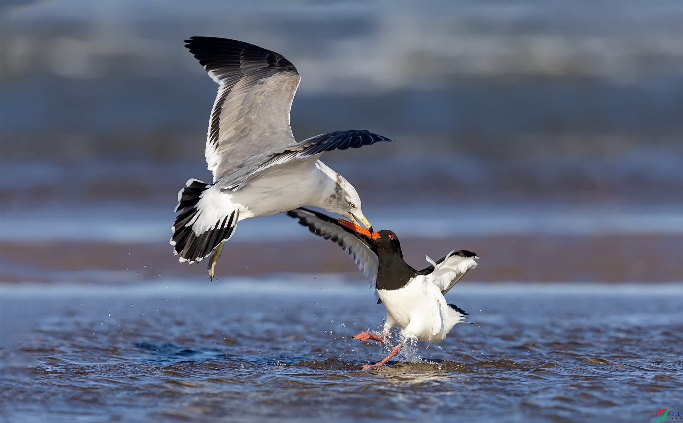 ��βŸ������