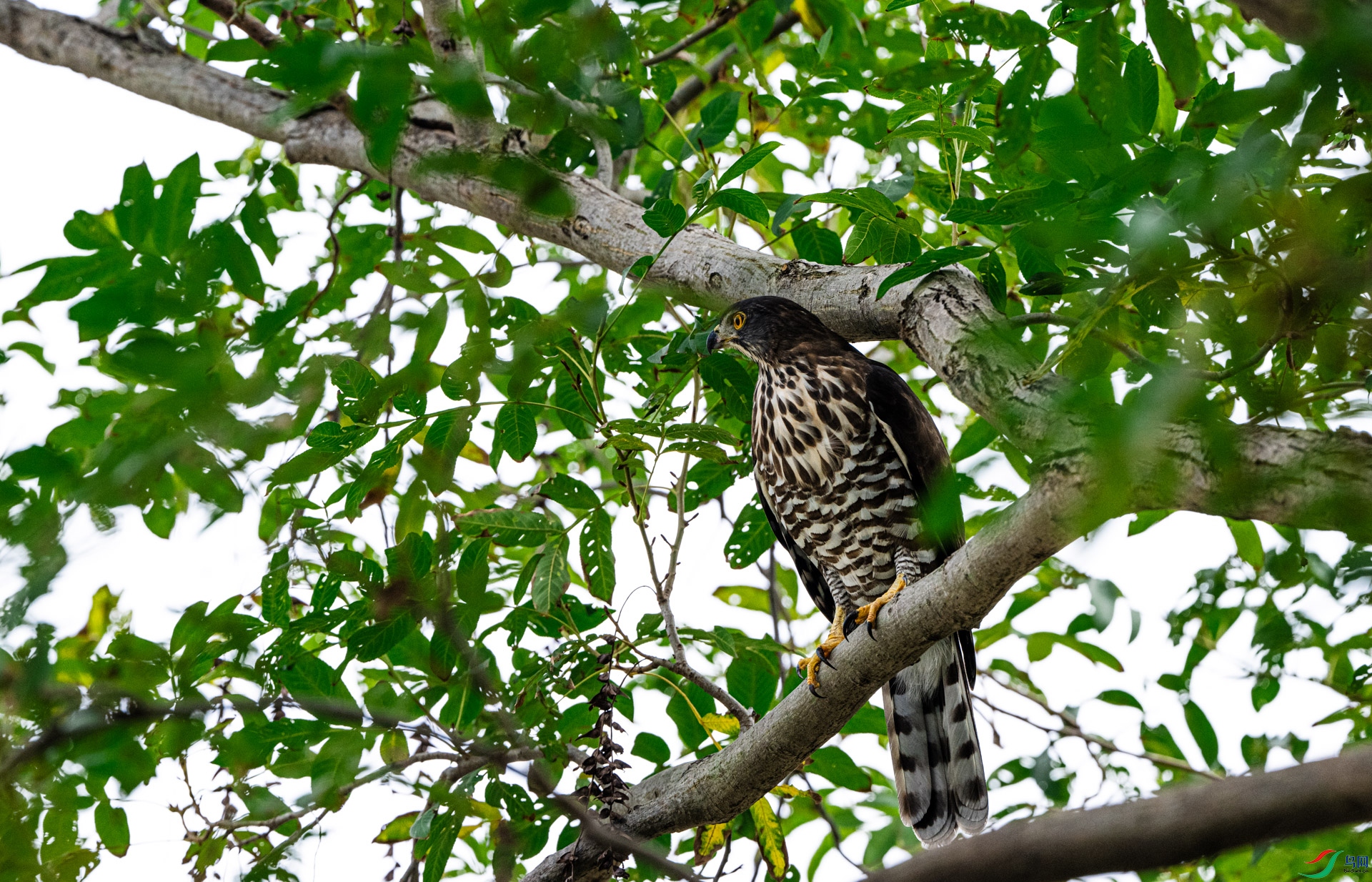 DSC_1697.jpg