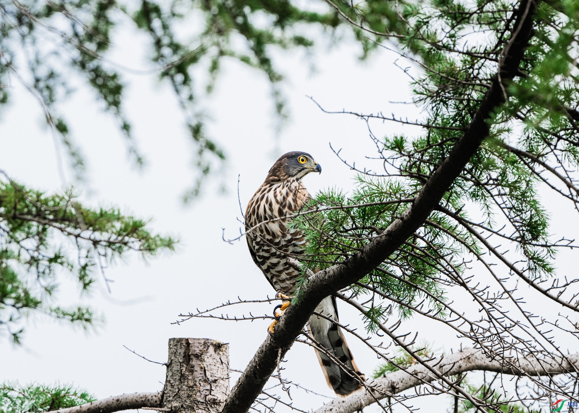 DSC_1768.jpg