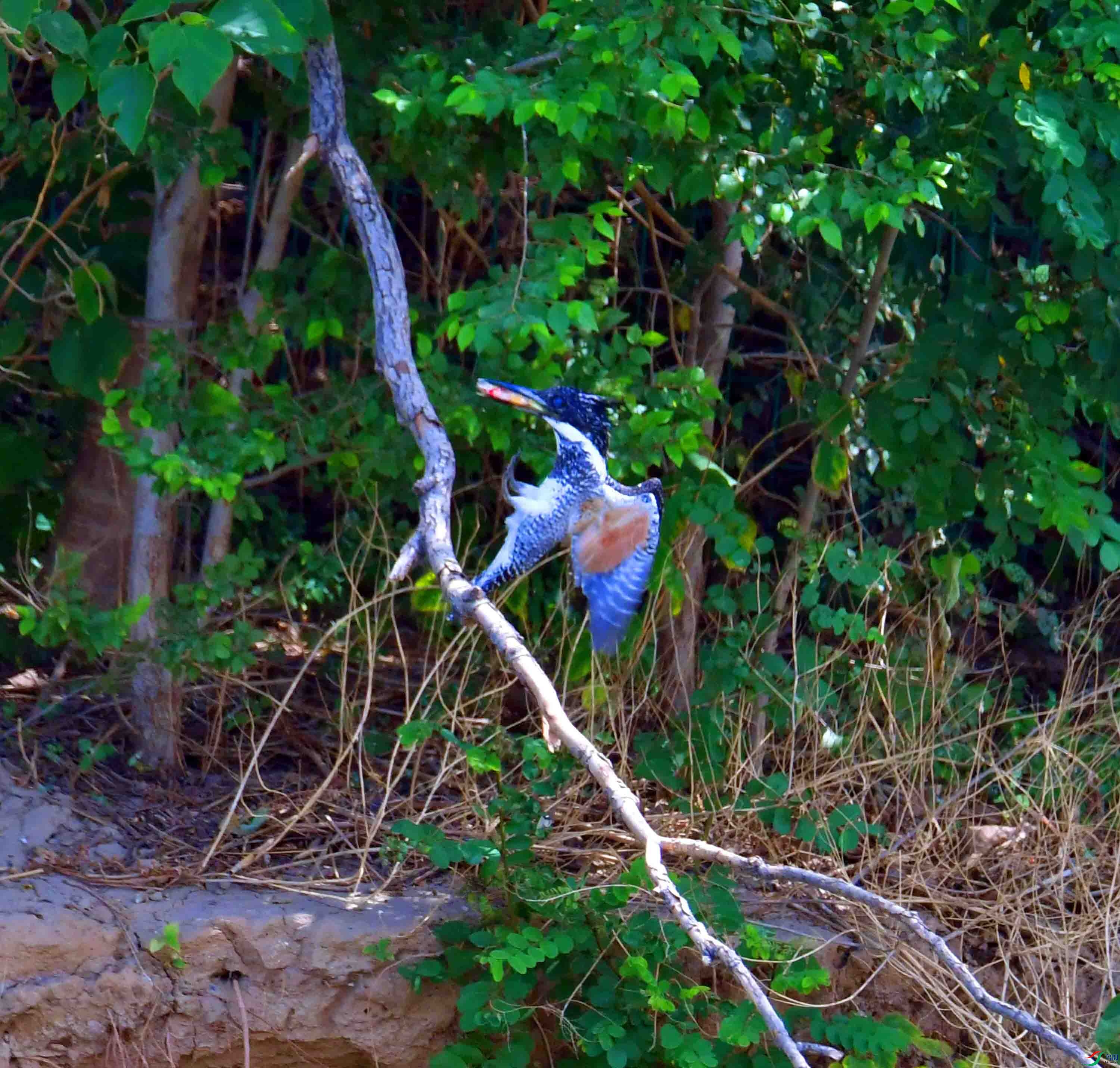 DSC_2050.JPG