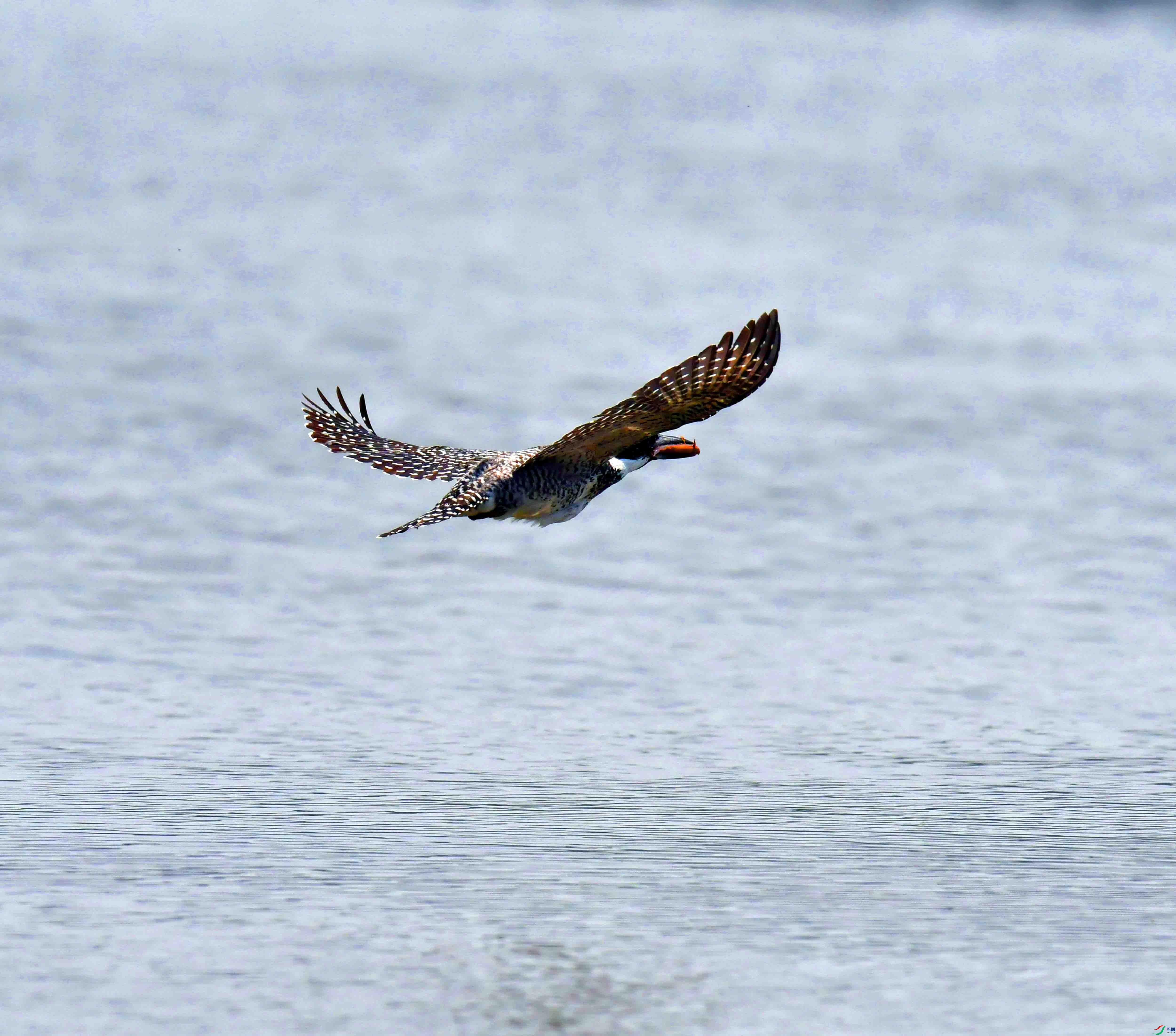 DSC_2125.JPG