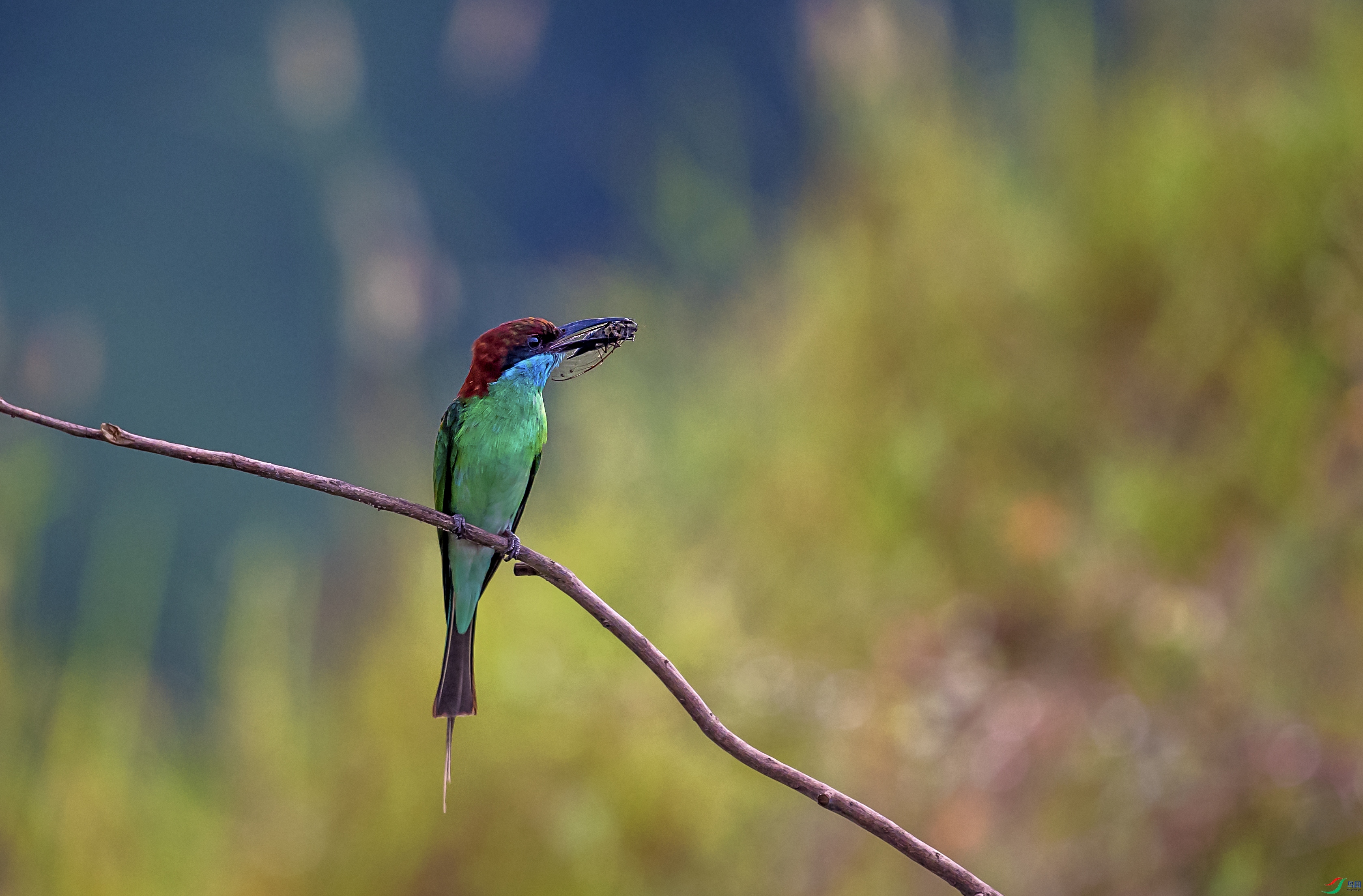 DSC_4963.jpg