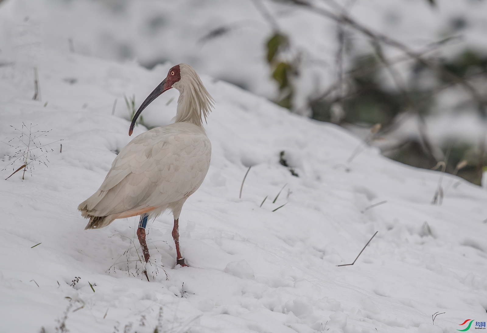 DSC_0275.jpg
