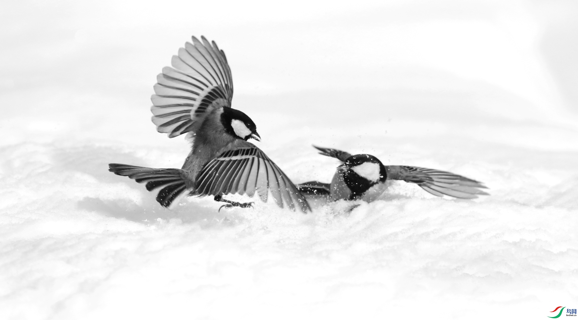 0G1A2227 ����.jpg