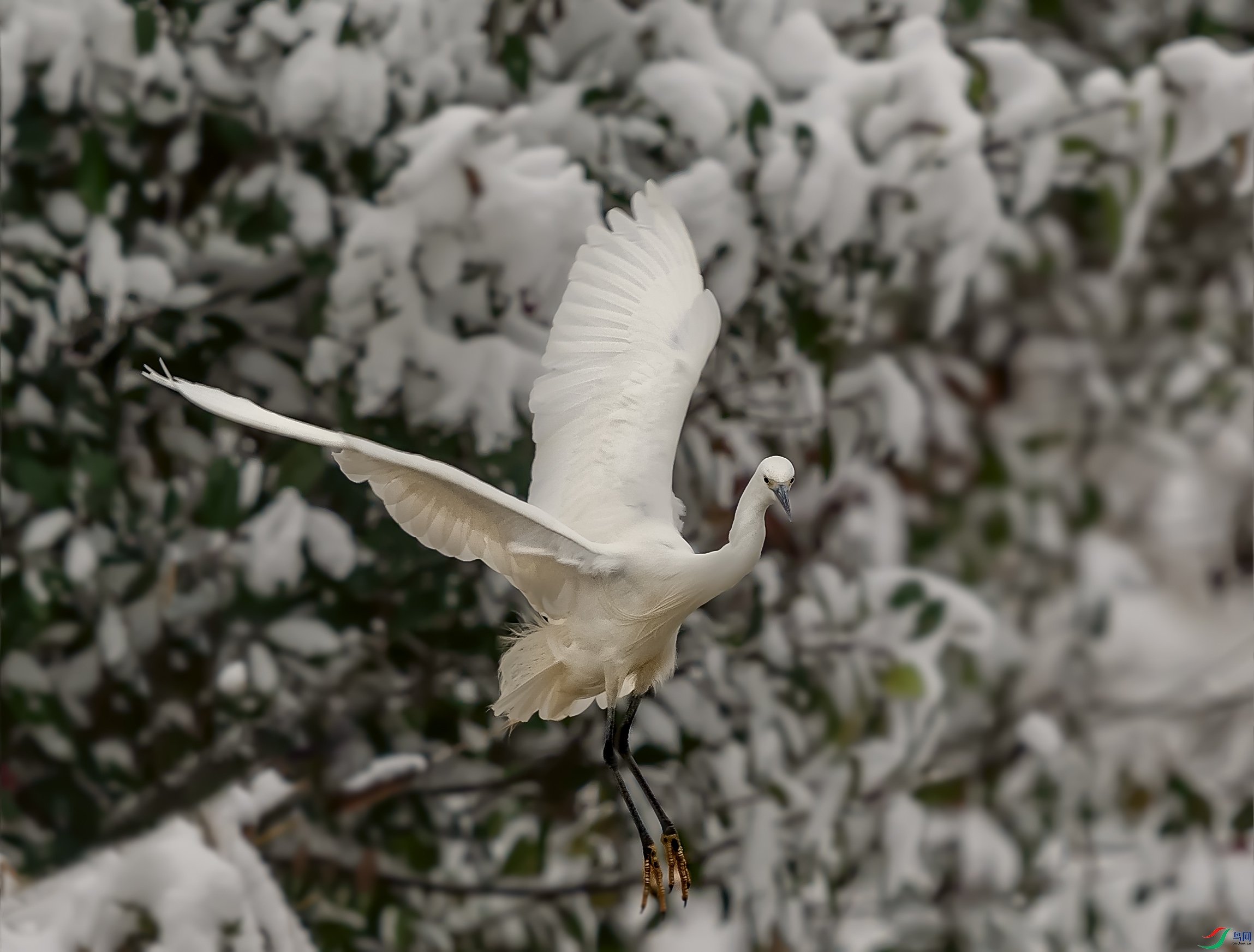 DSC_7552.jpg