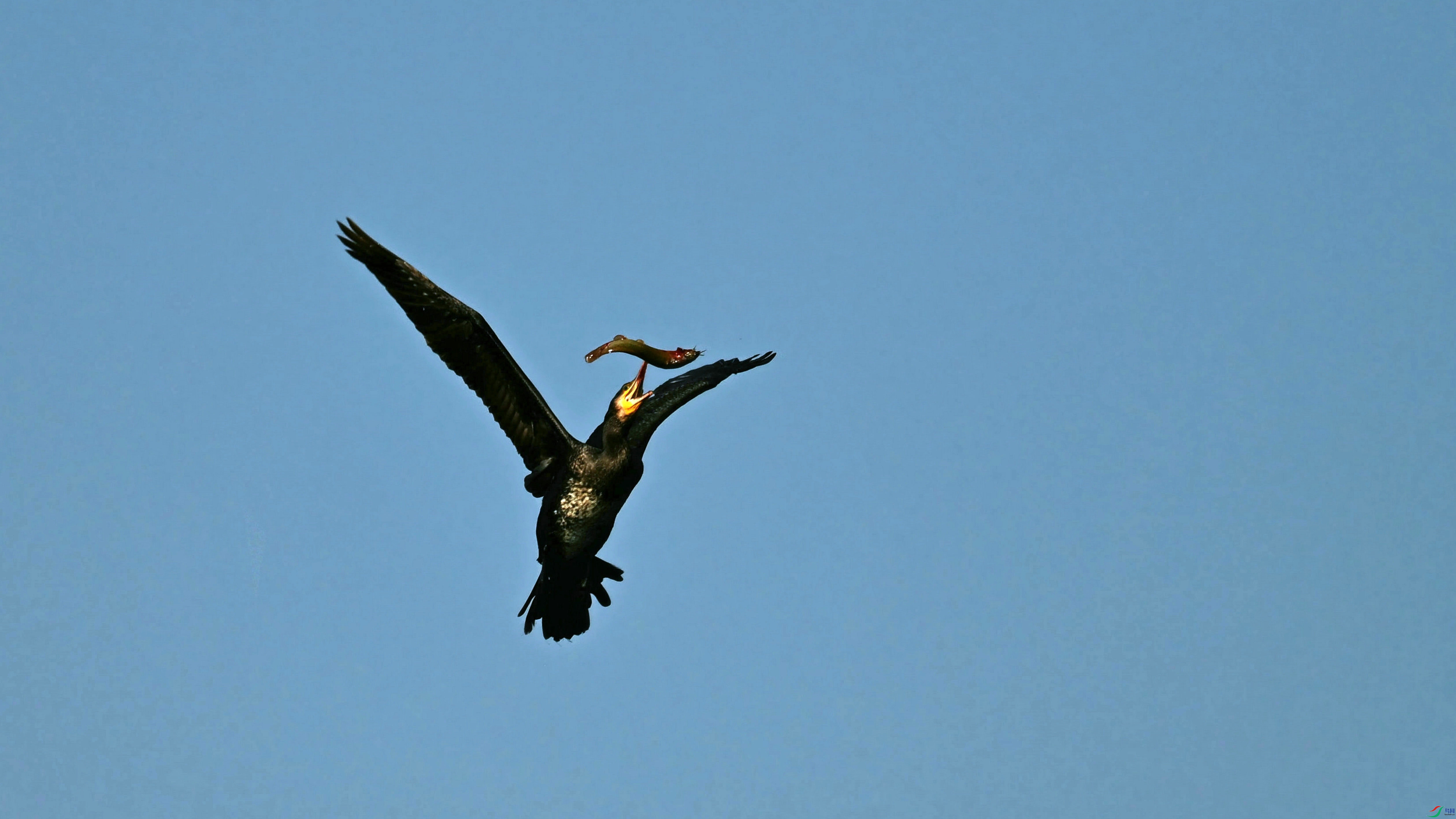 DSC_1680.JPG