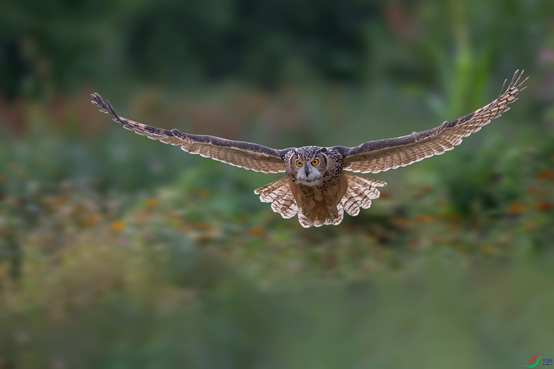 DSC_1274.jpg