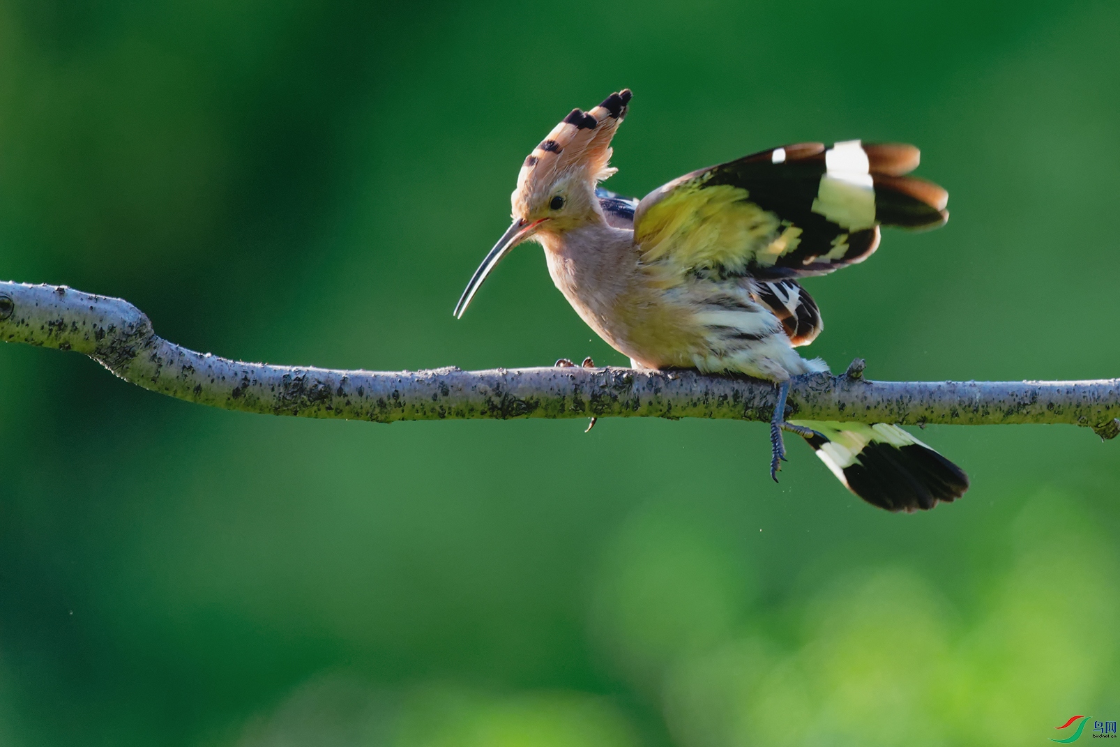 DSC_6467_DxOa.jpg