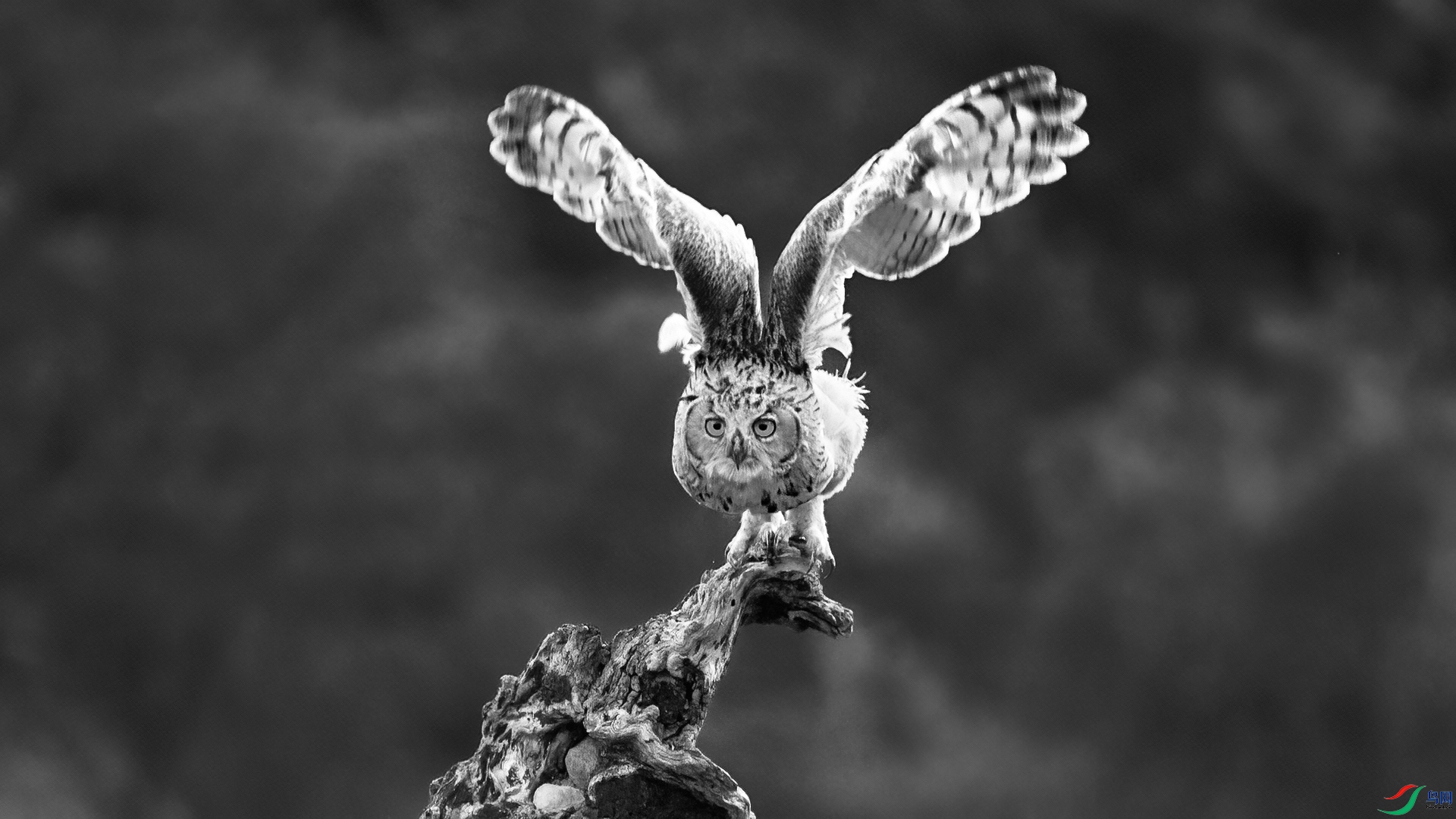 DSC_9879-A-20251110�� .jpg