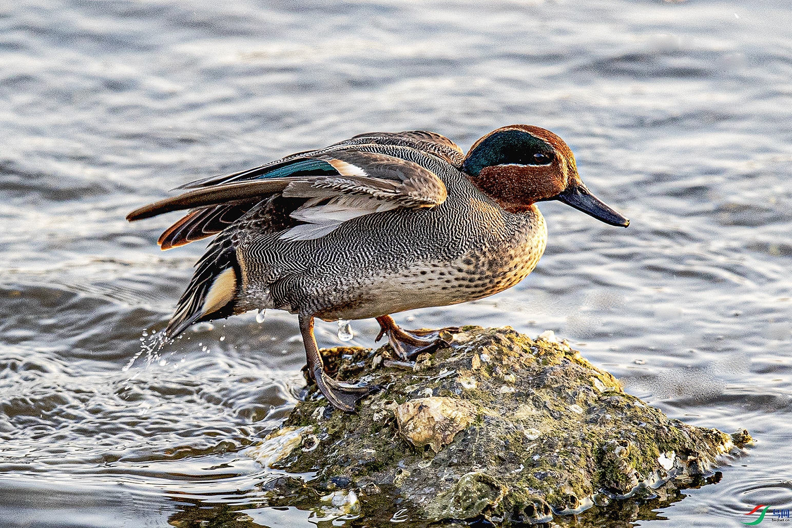 _90I8663 ���� 2.jpg