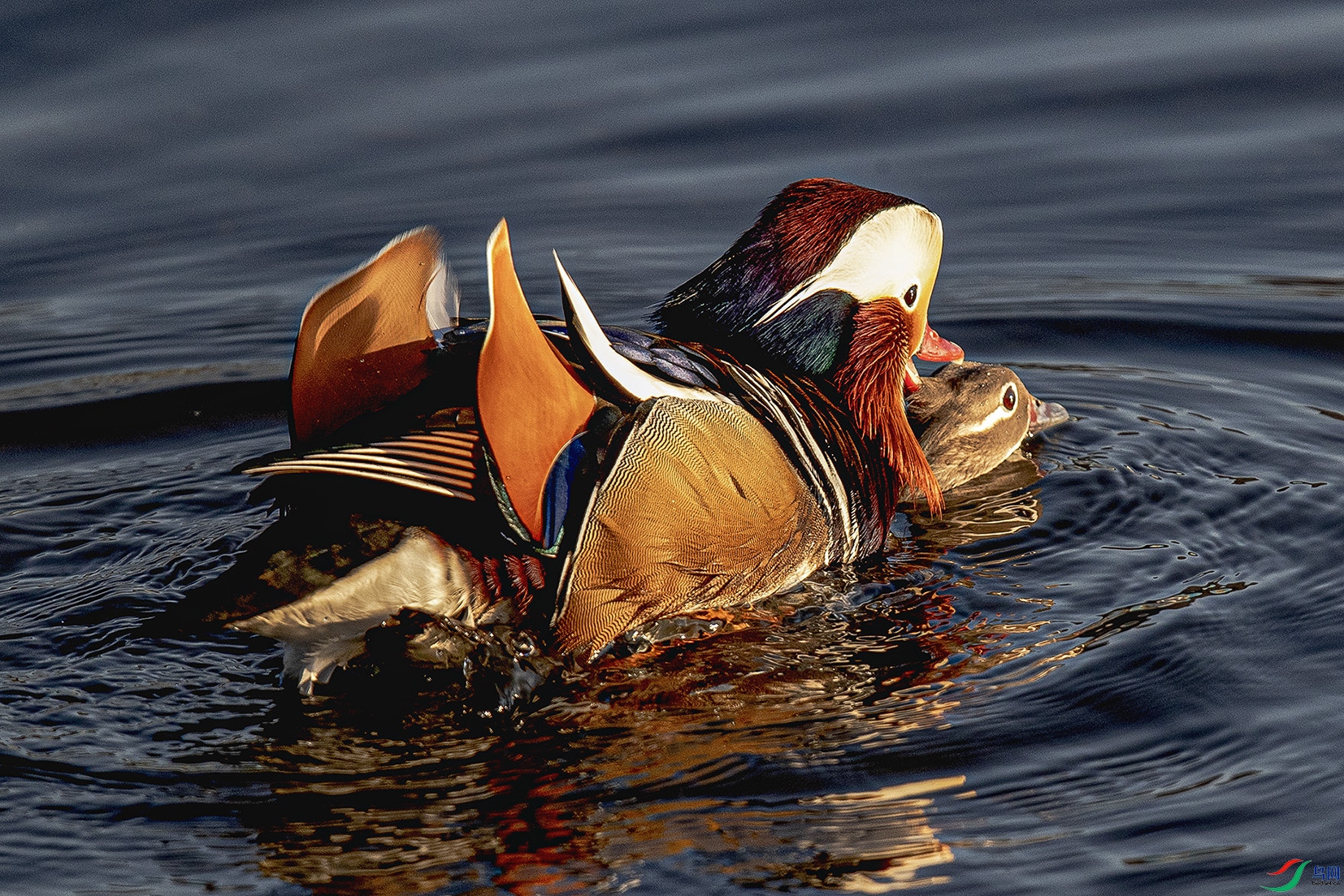 _90I7689 ���� 2.jpg