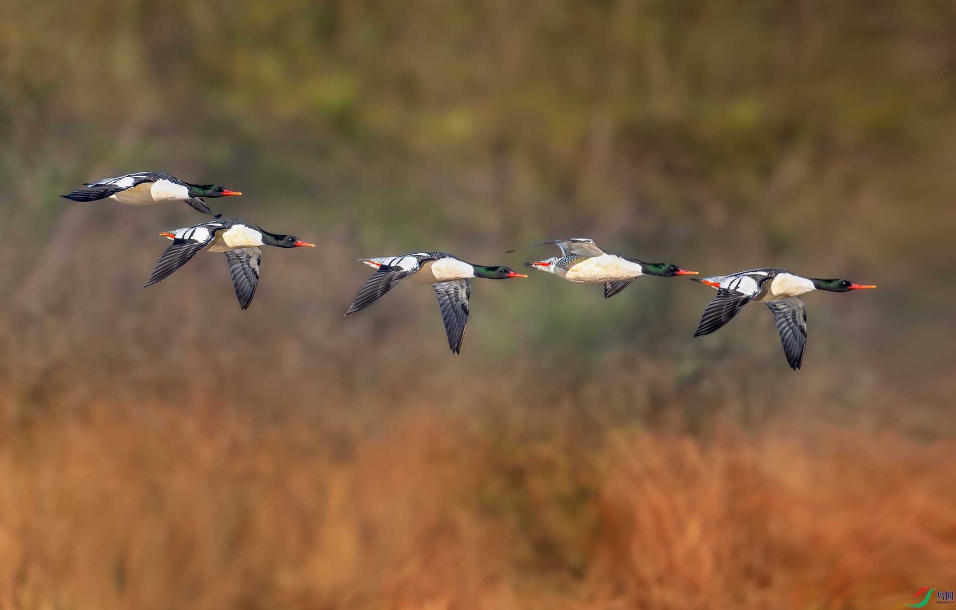 ����DSC_5844.jpg