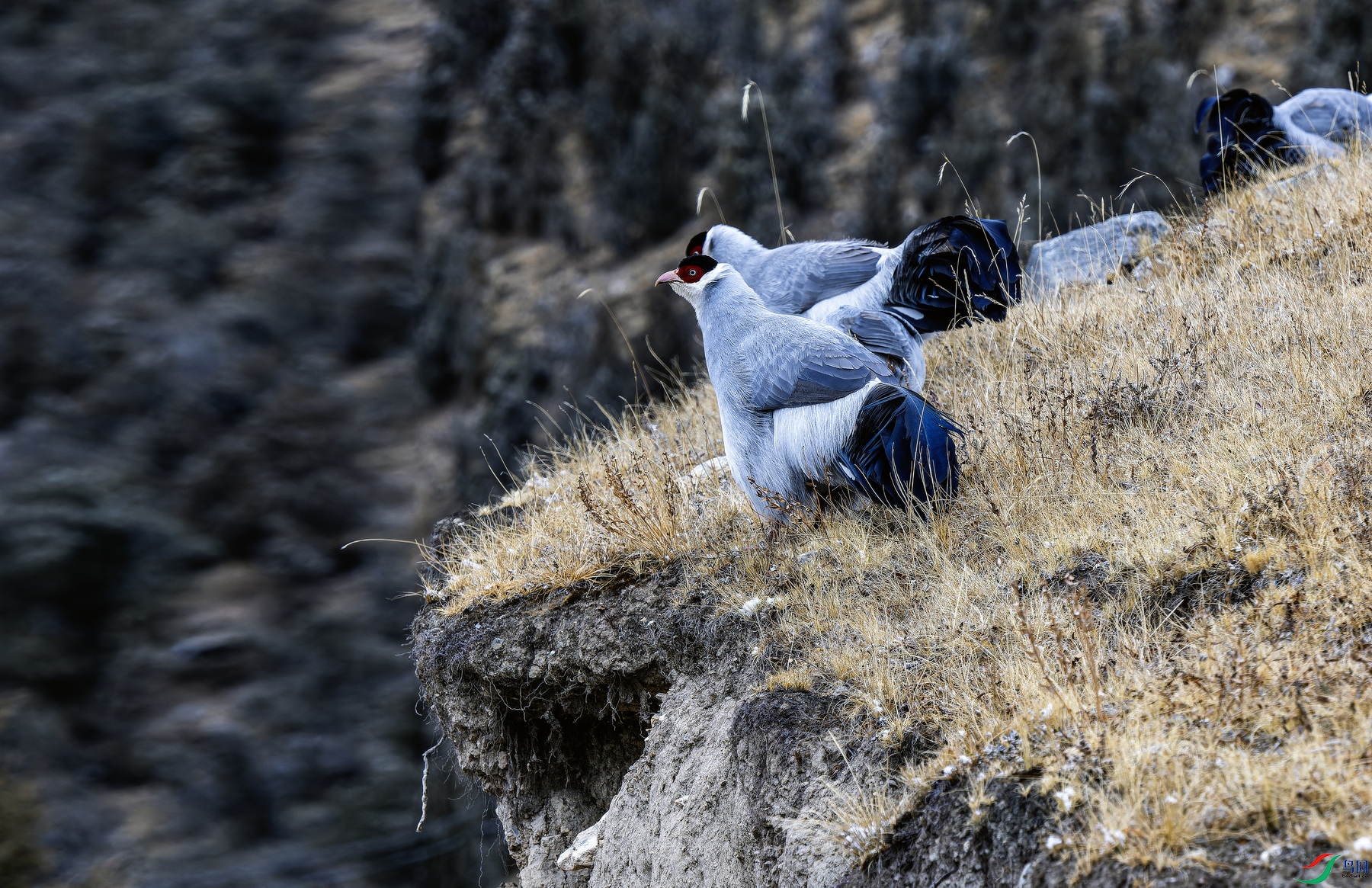 ������ (392)-01.jpg