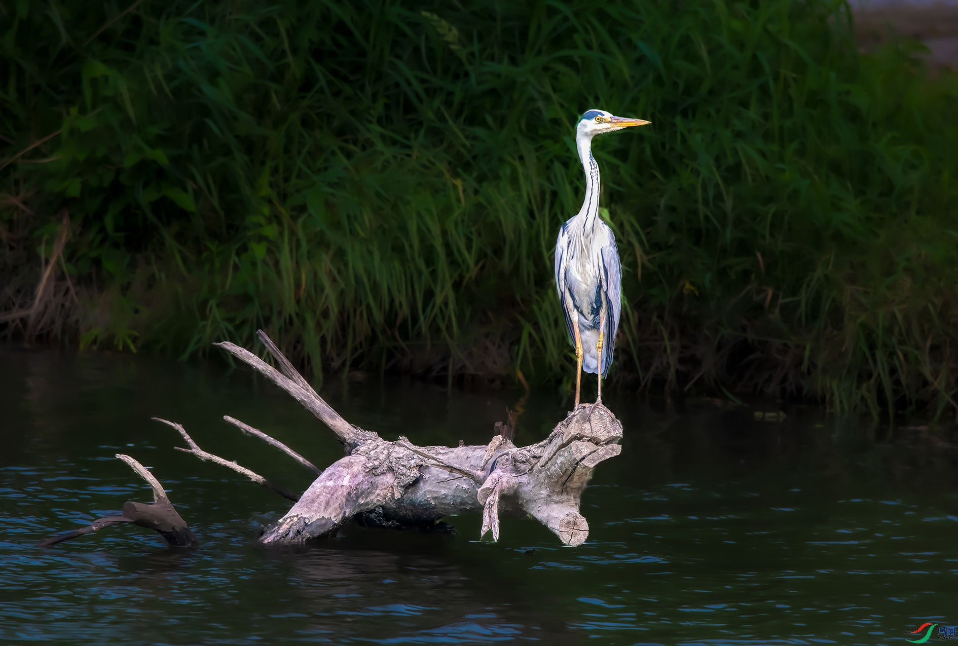 DSC_3358_��ͼ�� ����.jpg