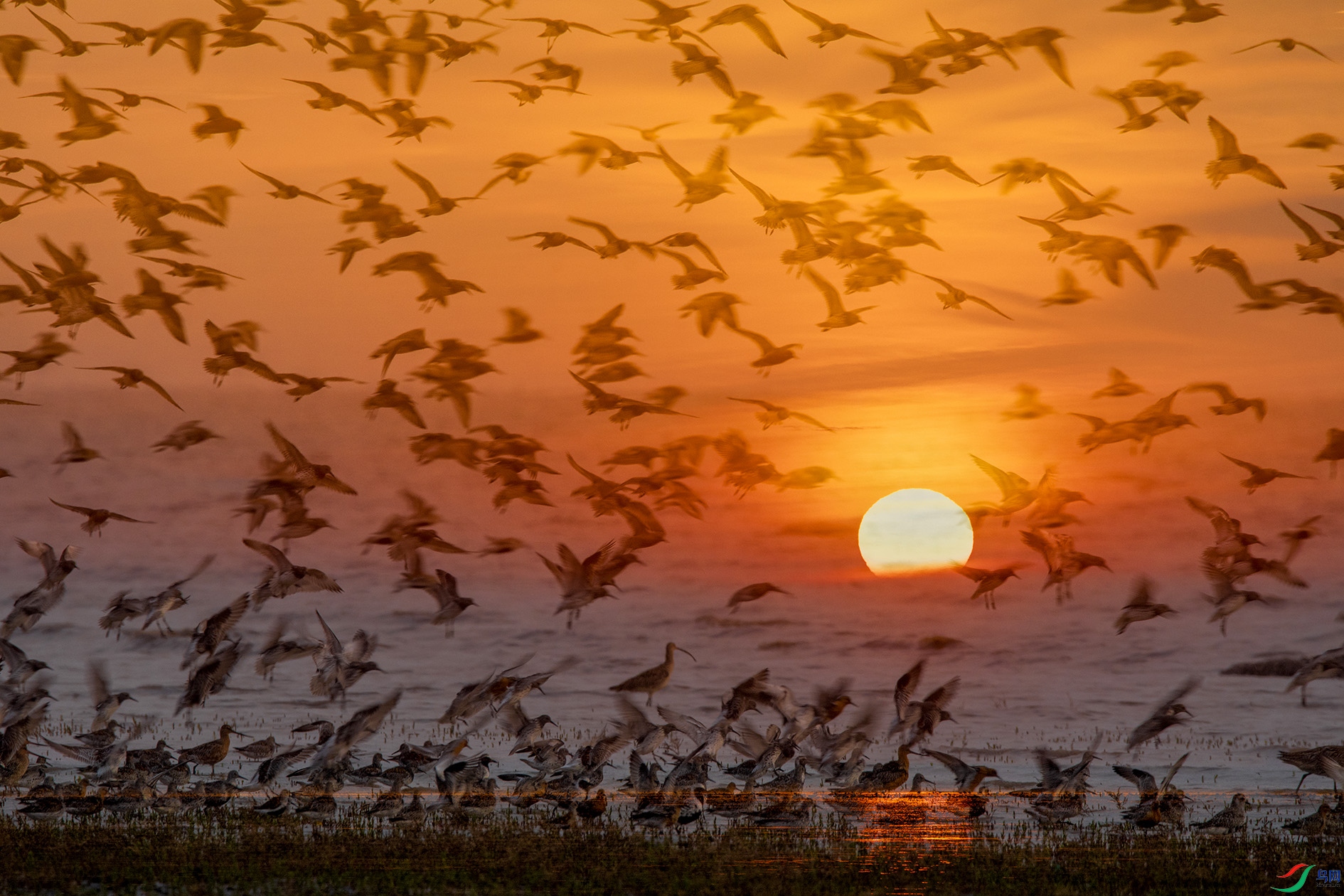 REC_4755_��ͼ�� ����.jpg