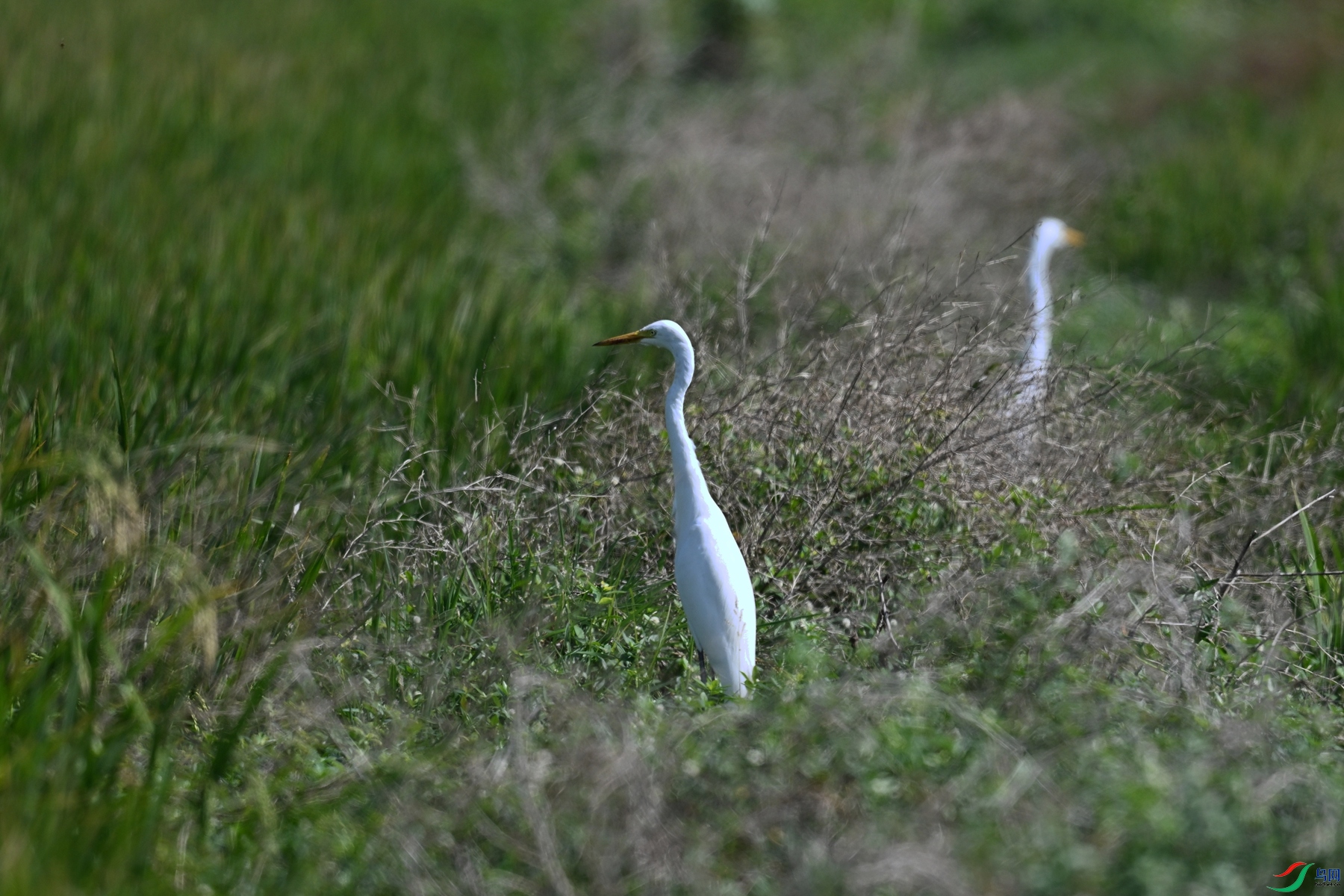 DSC_4999.JPG