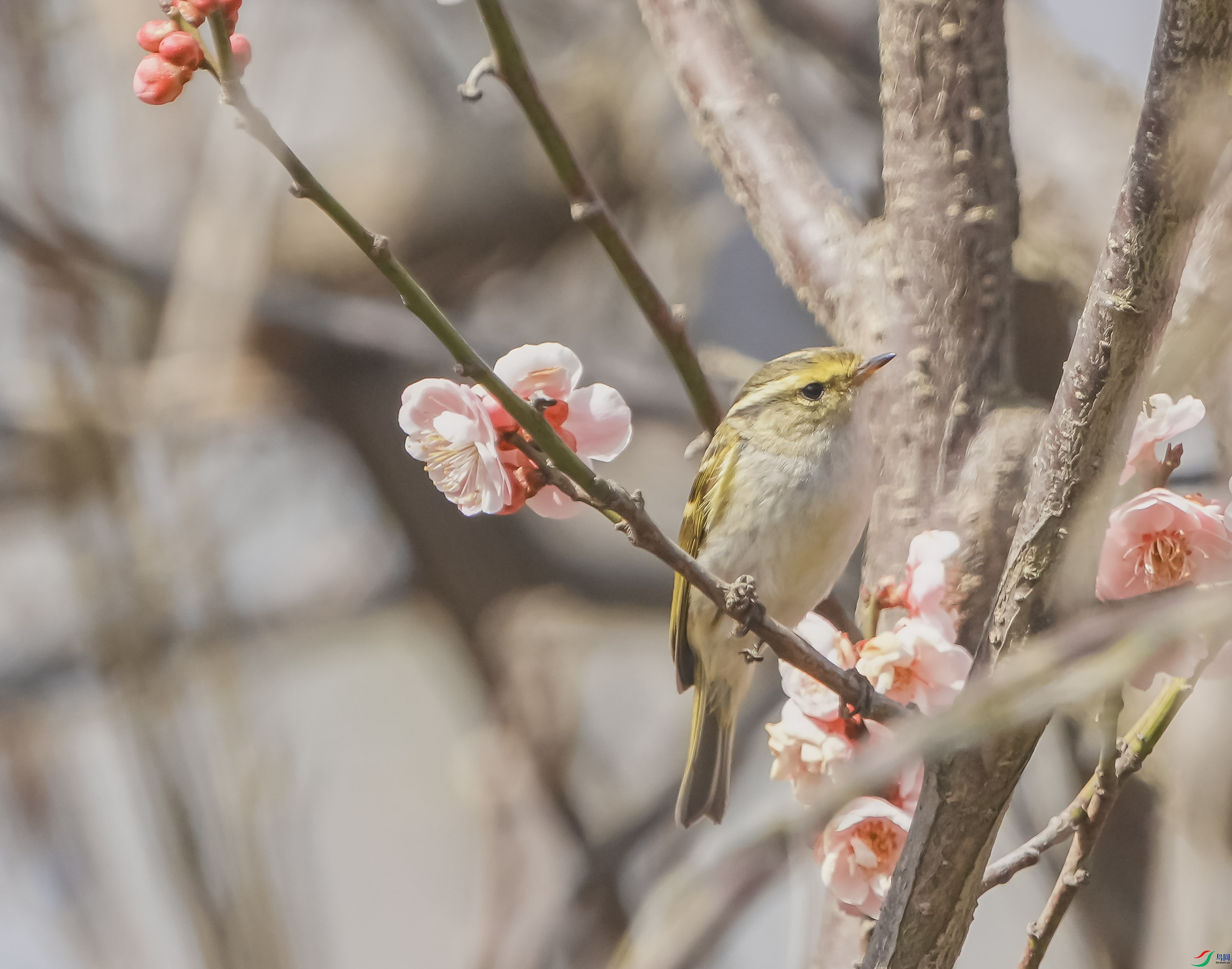 ������ݺ-3.jpg