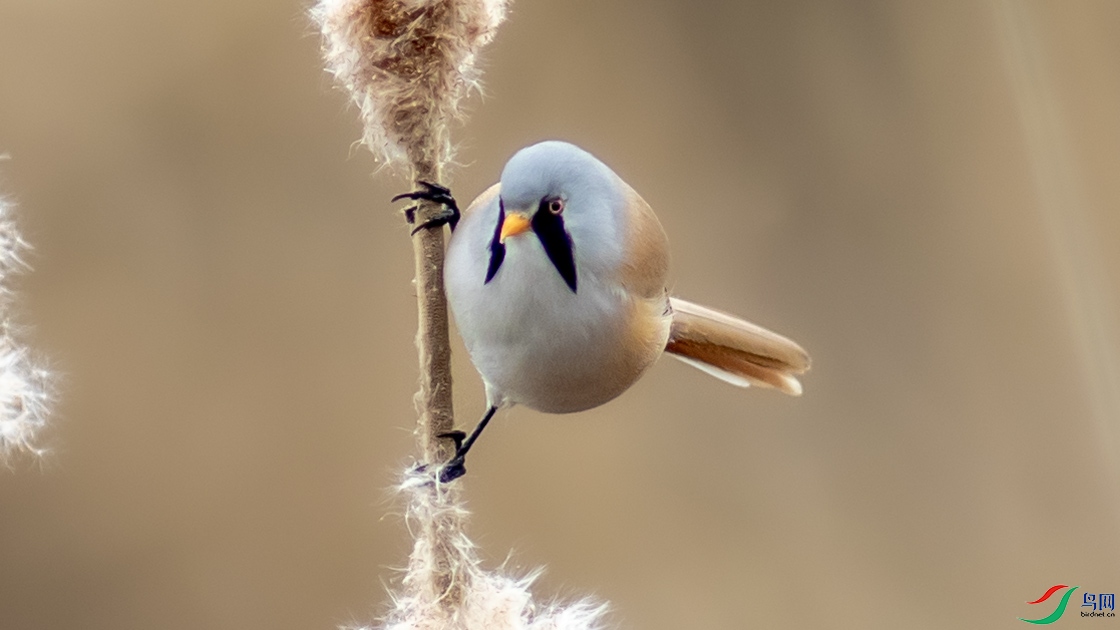 I99A0513 ����ȸ ŶŶ.jpg