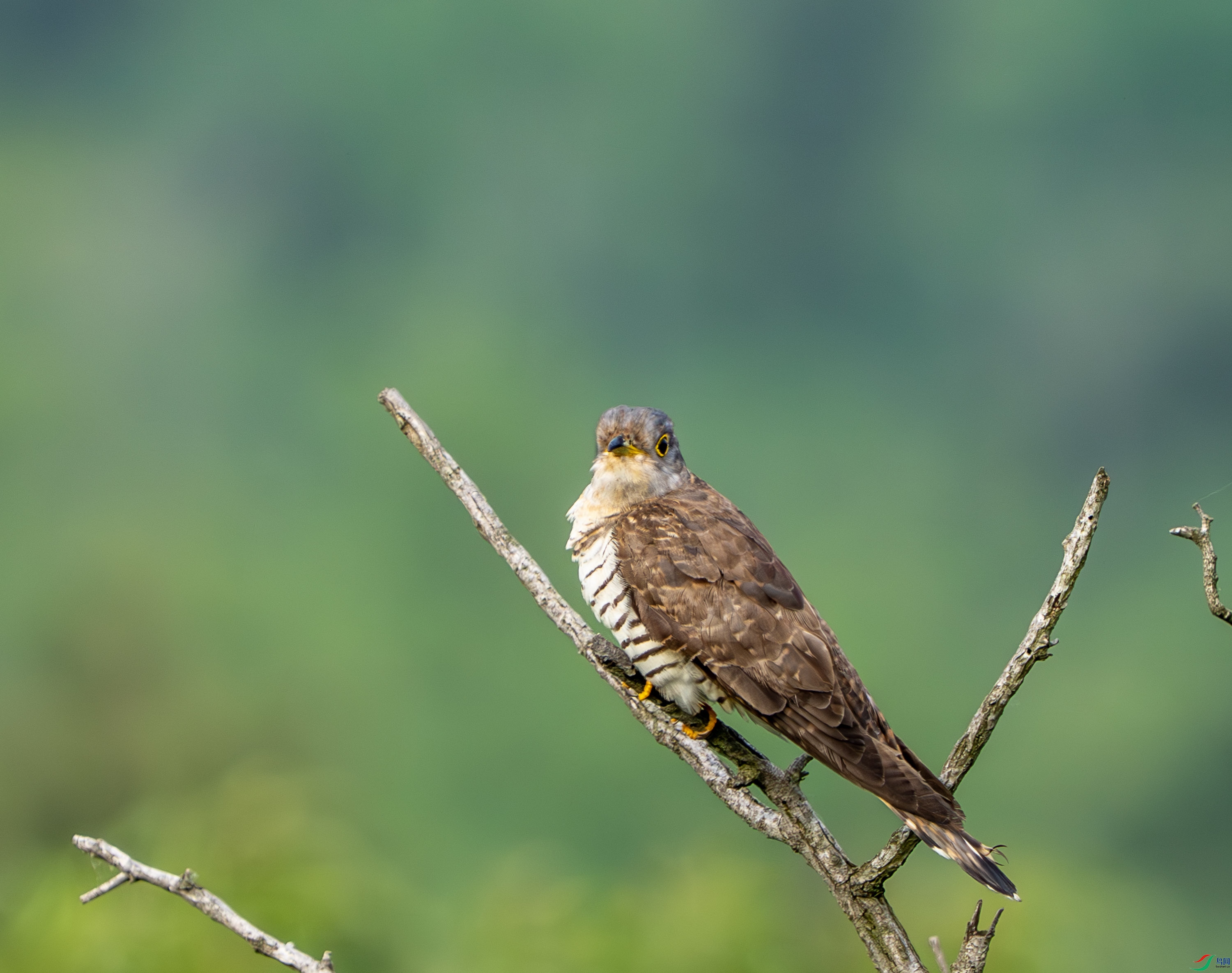 �����ž�-8.jpg
