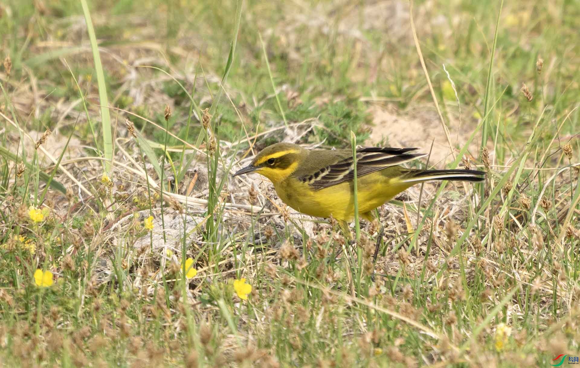 DSC04850 ����.jpg