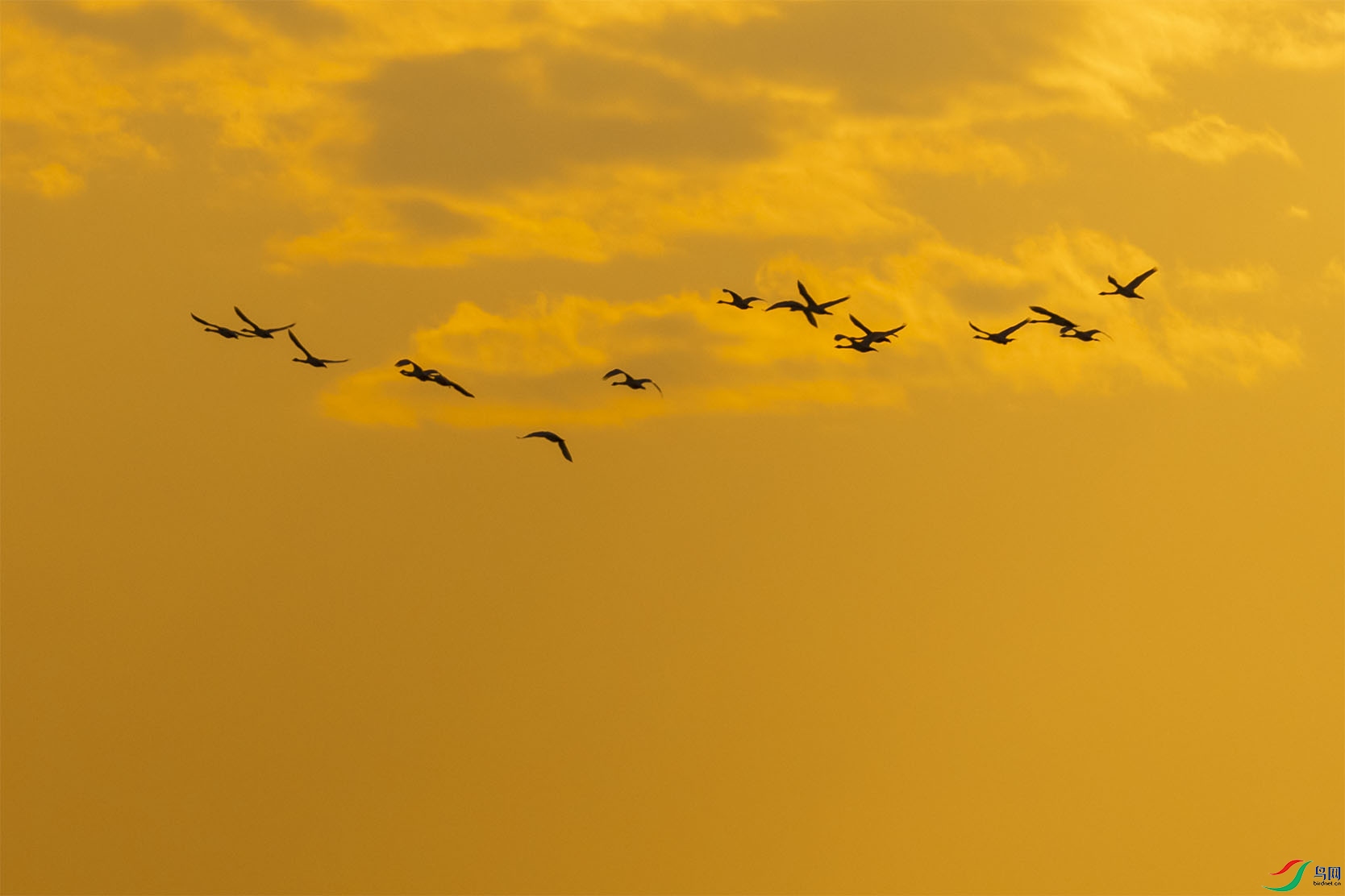 JHGS6870 ����.jpg