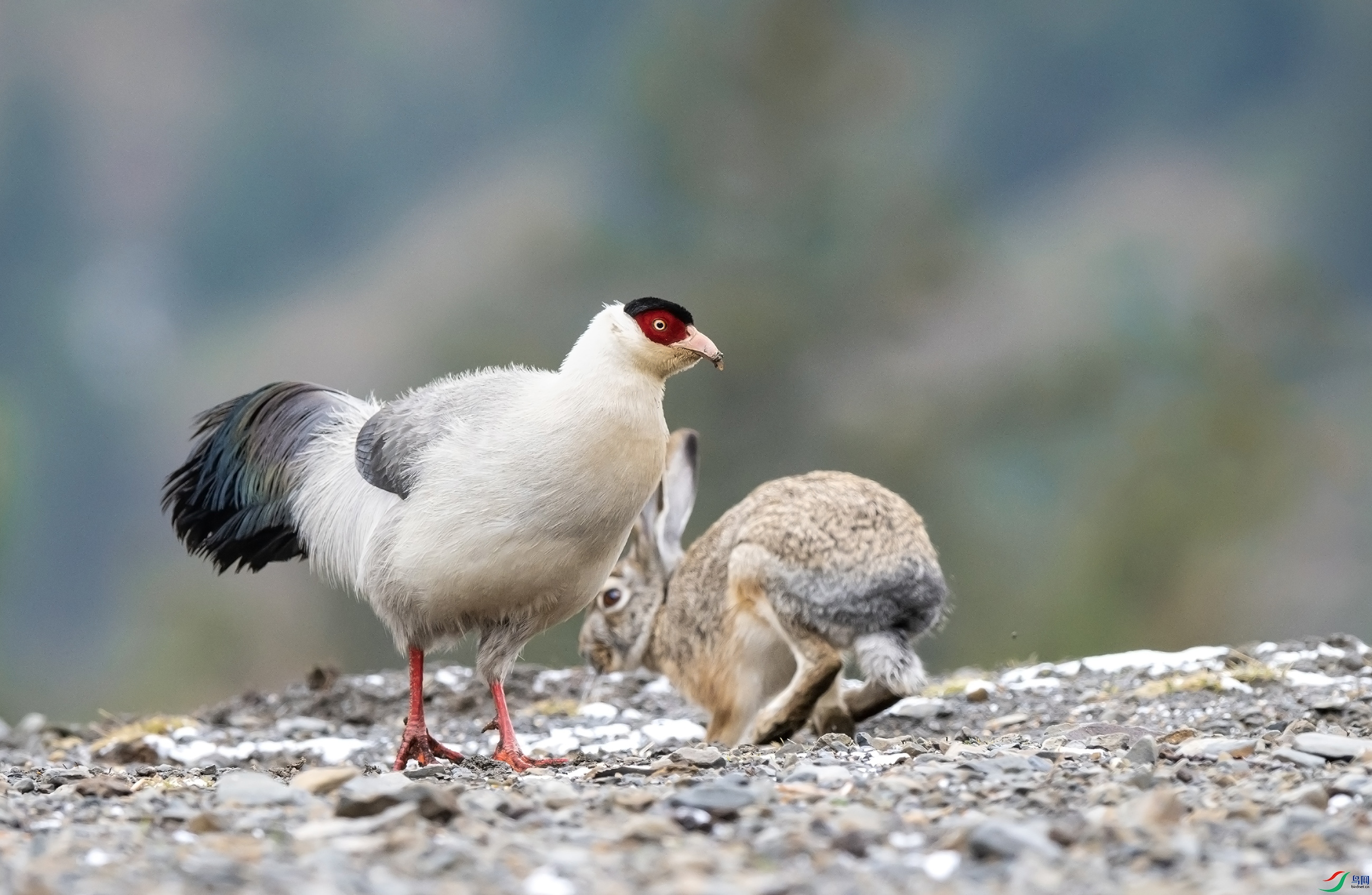 ADS_7027 ���� 2.jpg