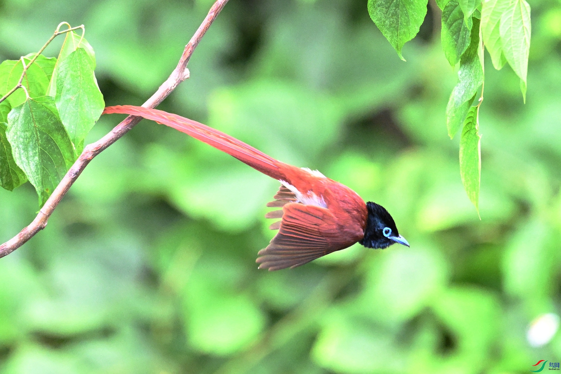 DSC_7536.JPG