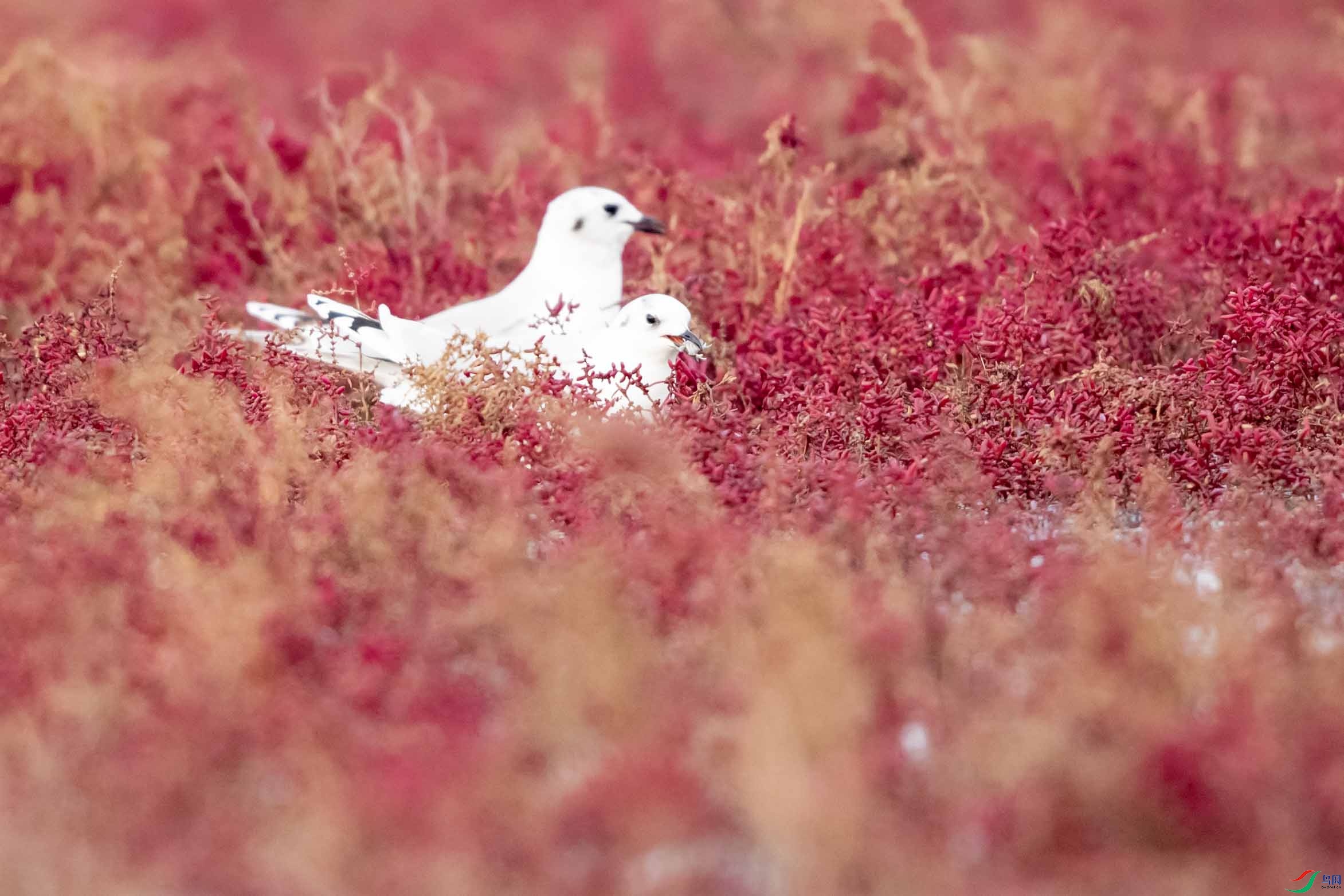 _DSC7277 ����.jpg